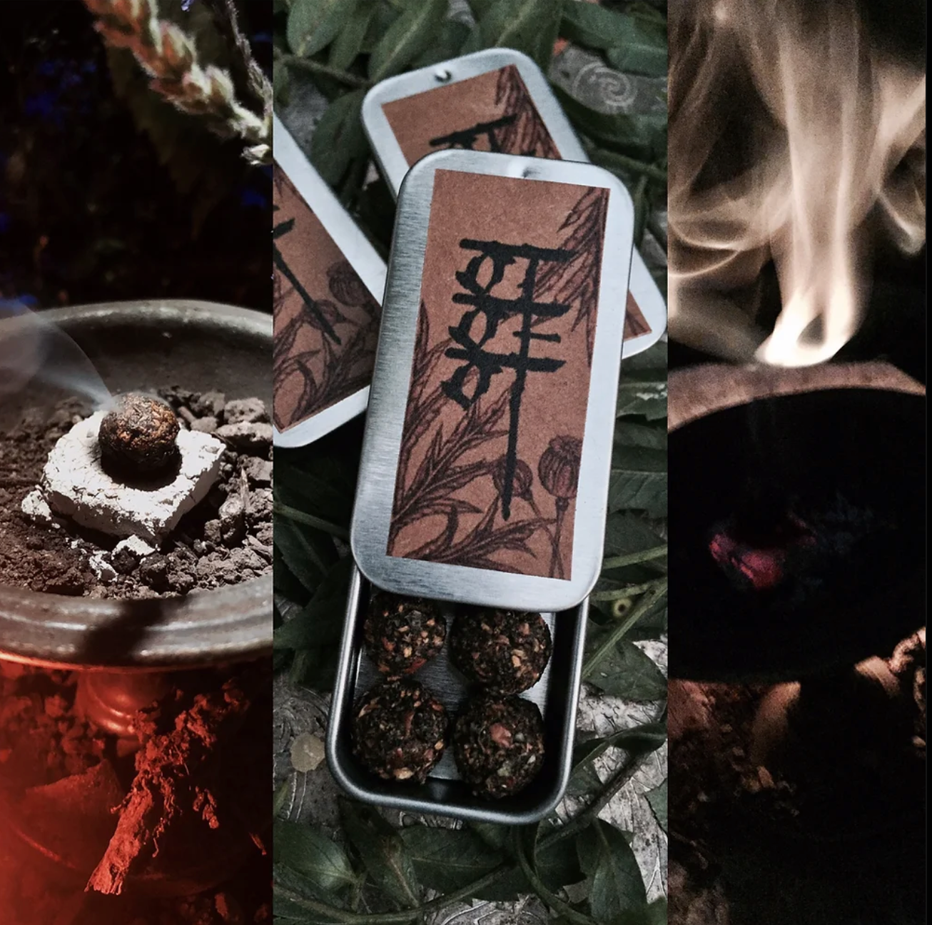 SANCTUM by Other of Beetles. With Heatherlie Allison.