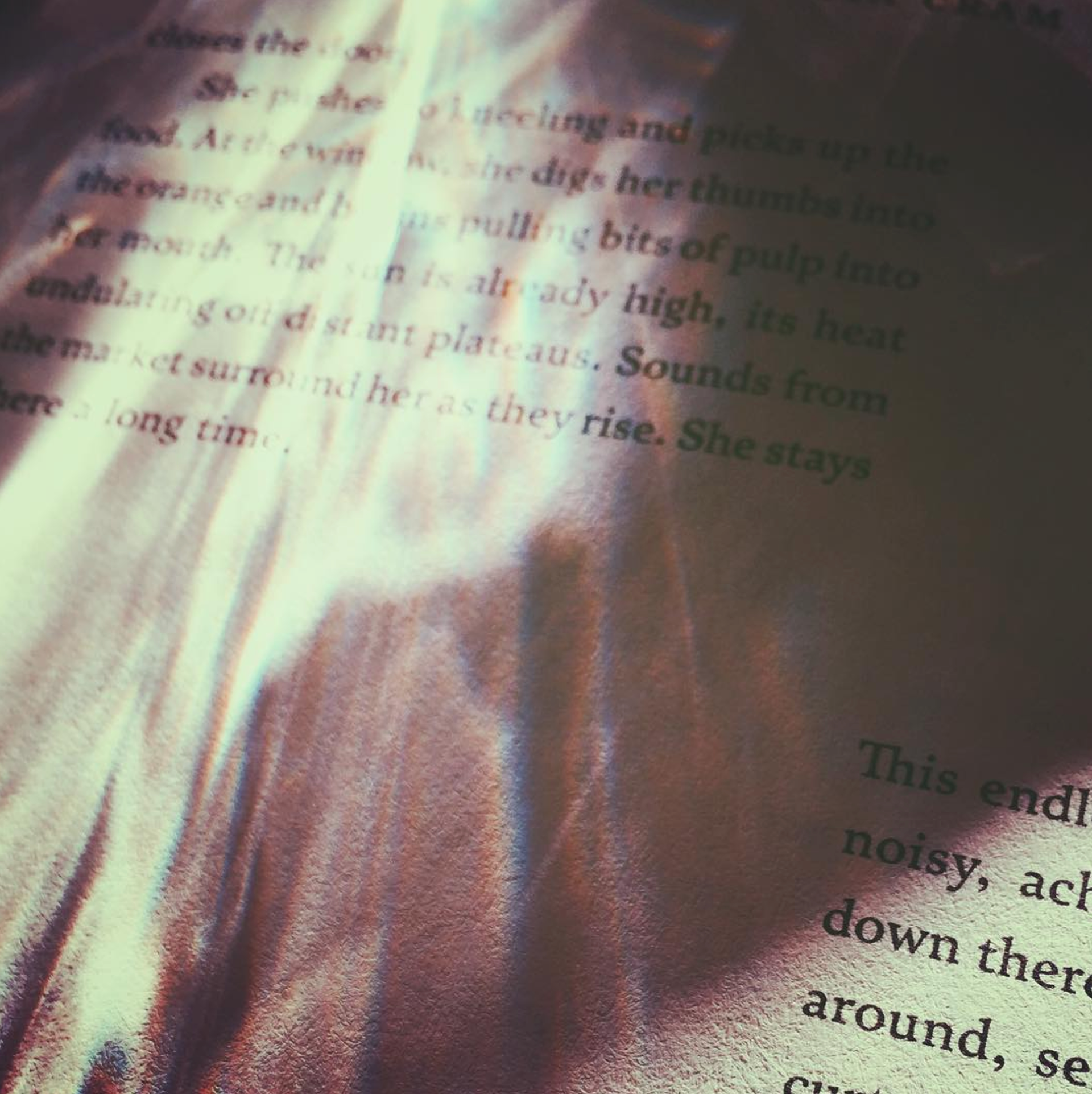 From Turquoise on a Bed of Skulls. PENUMBRAE. Available via Three Hands Press.