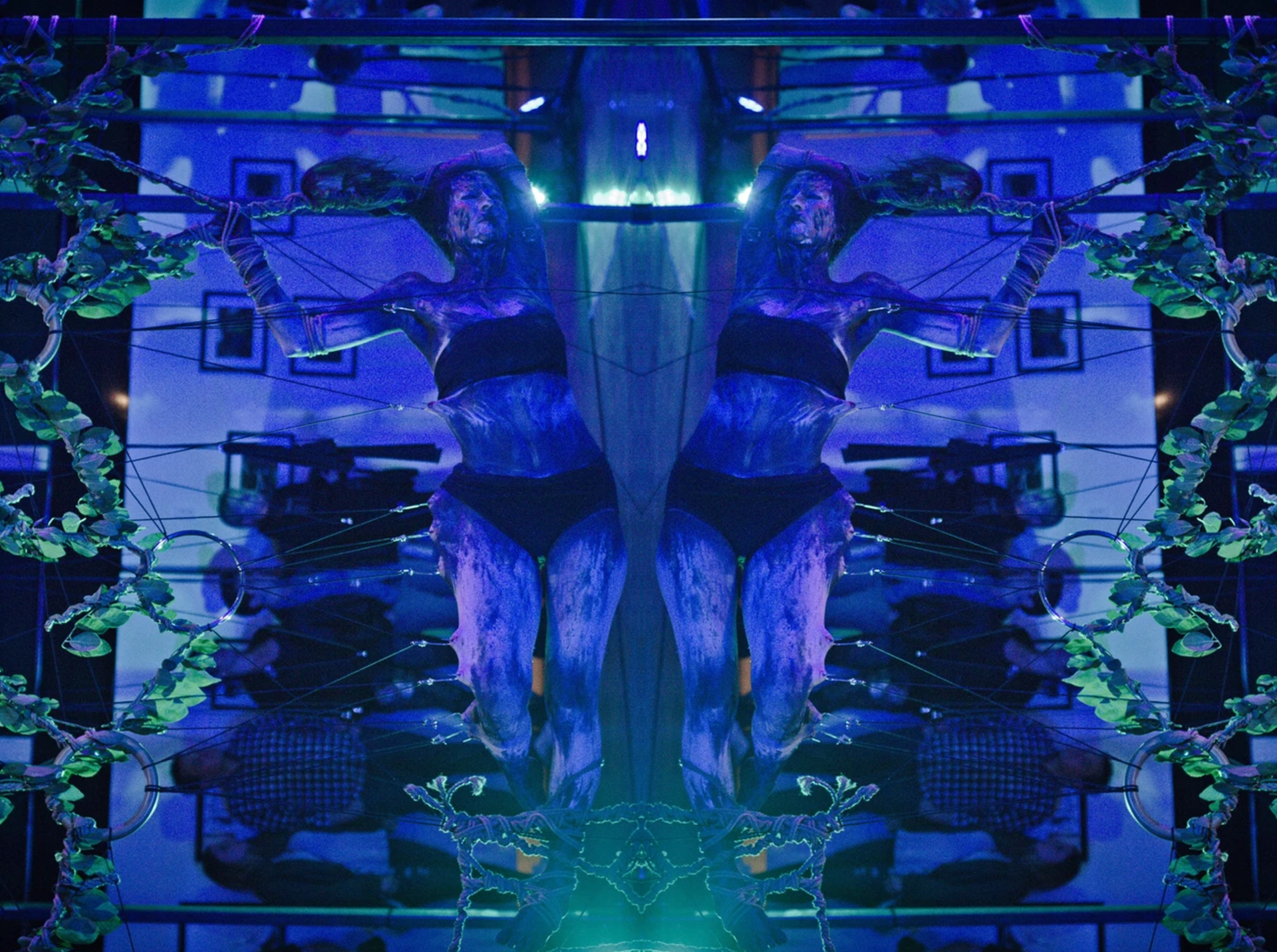 The Skin Project: Living Entropy. Produced by Wolf & Sheep Suspensions and Haus Serpens. Directed by Jessica Irvin. Suspension facilitated by Doug Smode. Photograph by Catbutt