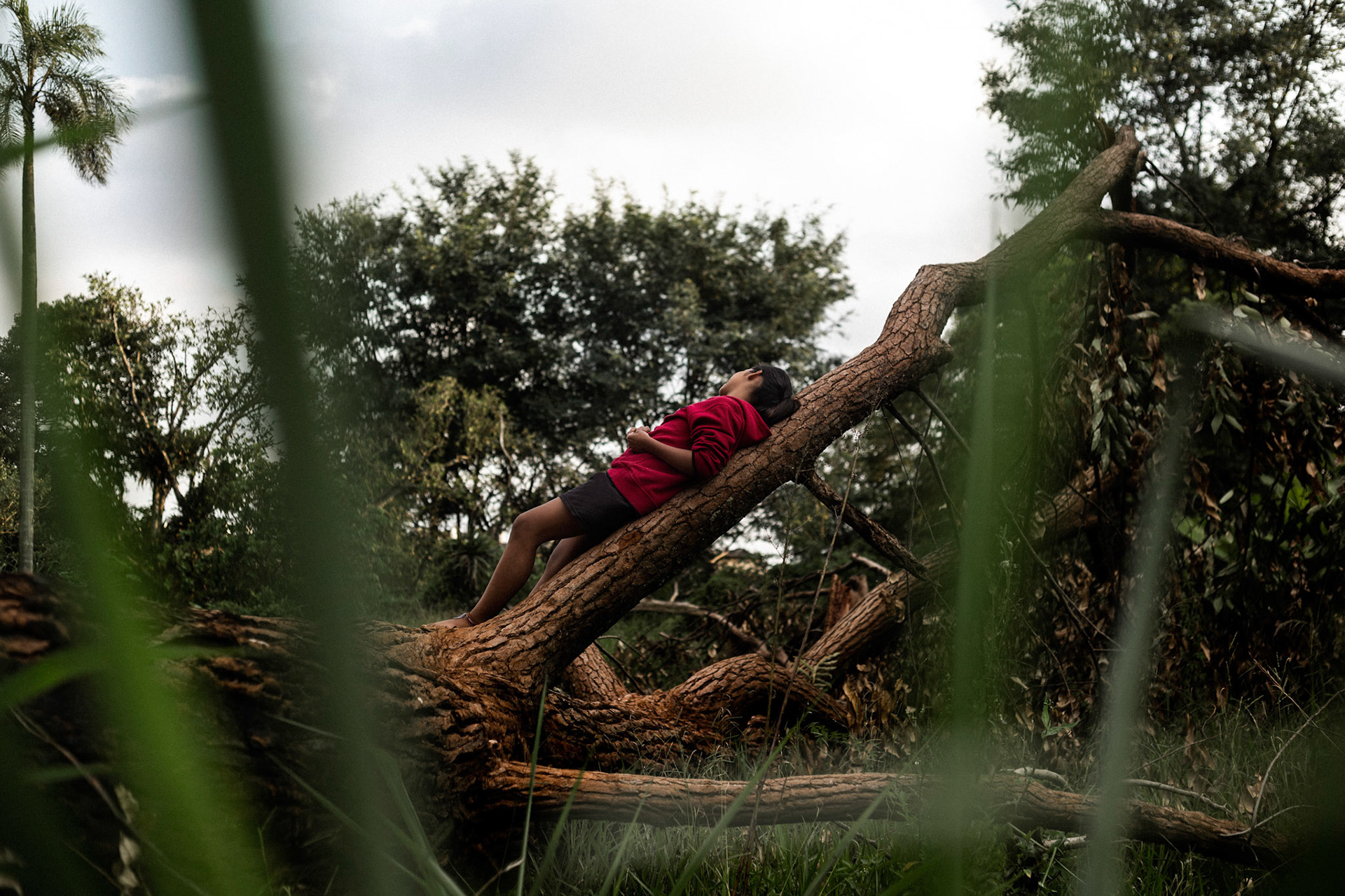 A Guarani child rests among the tree trunks cut down by a real estate development project in their village in Jaraguá, São Paulo.The Guarani Mbya indigenous culture adopts an integrated worldview, where the social and environmental realms, as well as nature and culture, are inseparable. Their presence and way of life are intrinsically connected to the forest. By residing and persisting on their ancestral lands, they actively contribute to environmental preservation.