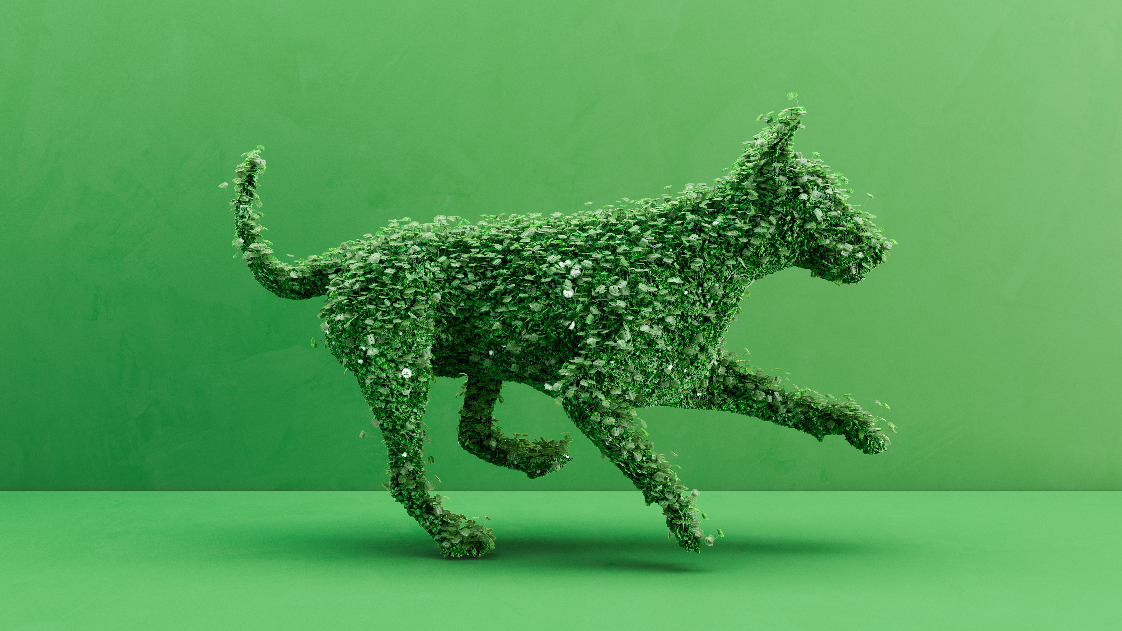 dog  plants vegetation 3d render vray maya