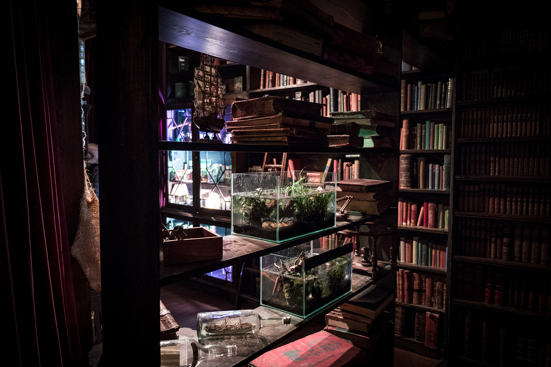 Entrance into the Library