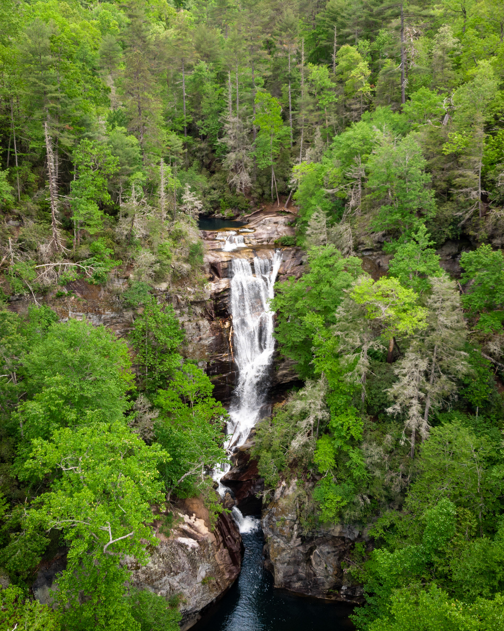 Paradise Falls, Jackson Co.