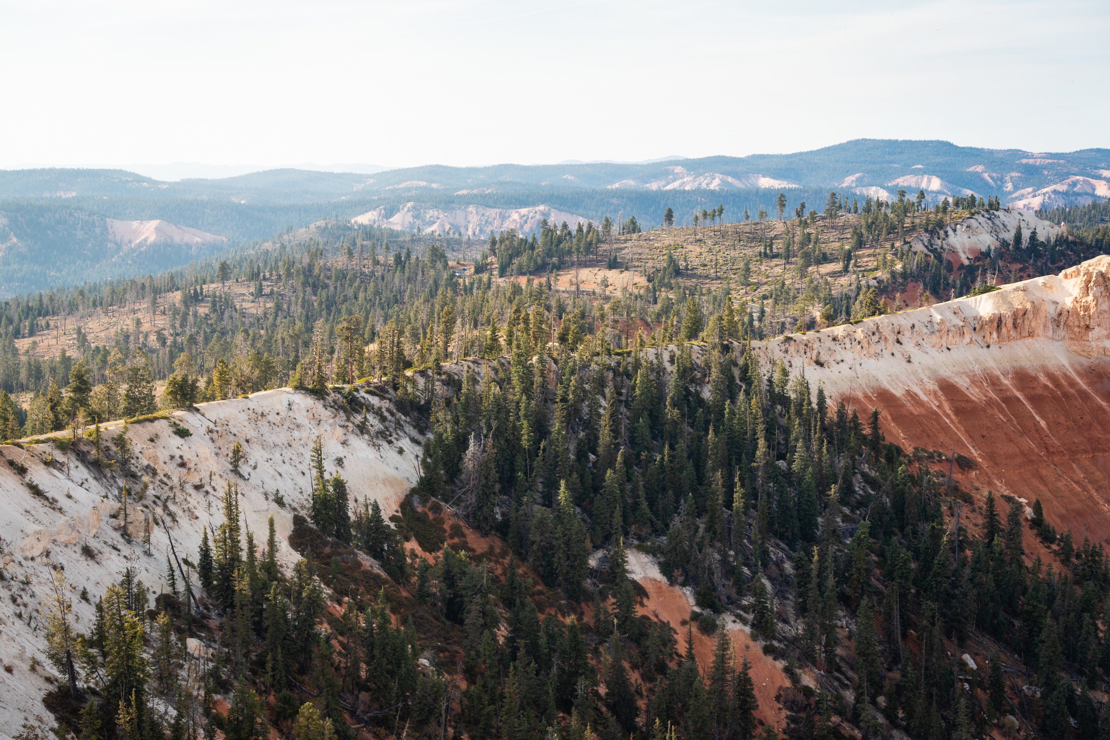 Rainbow Point in Bryce Canyon NP, UT
