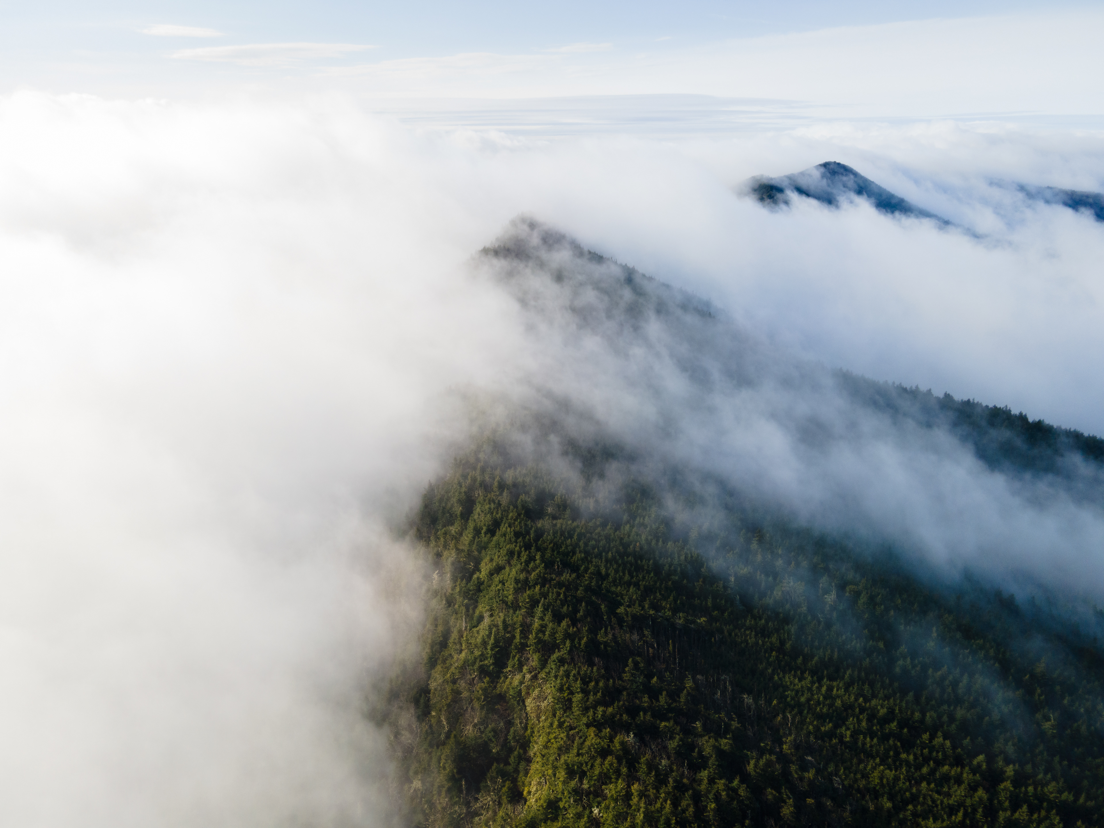 Fog over the Black Mountain Crest, Yancey Co.