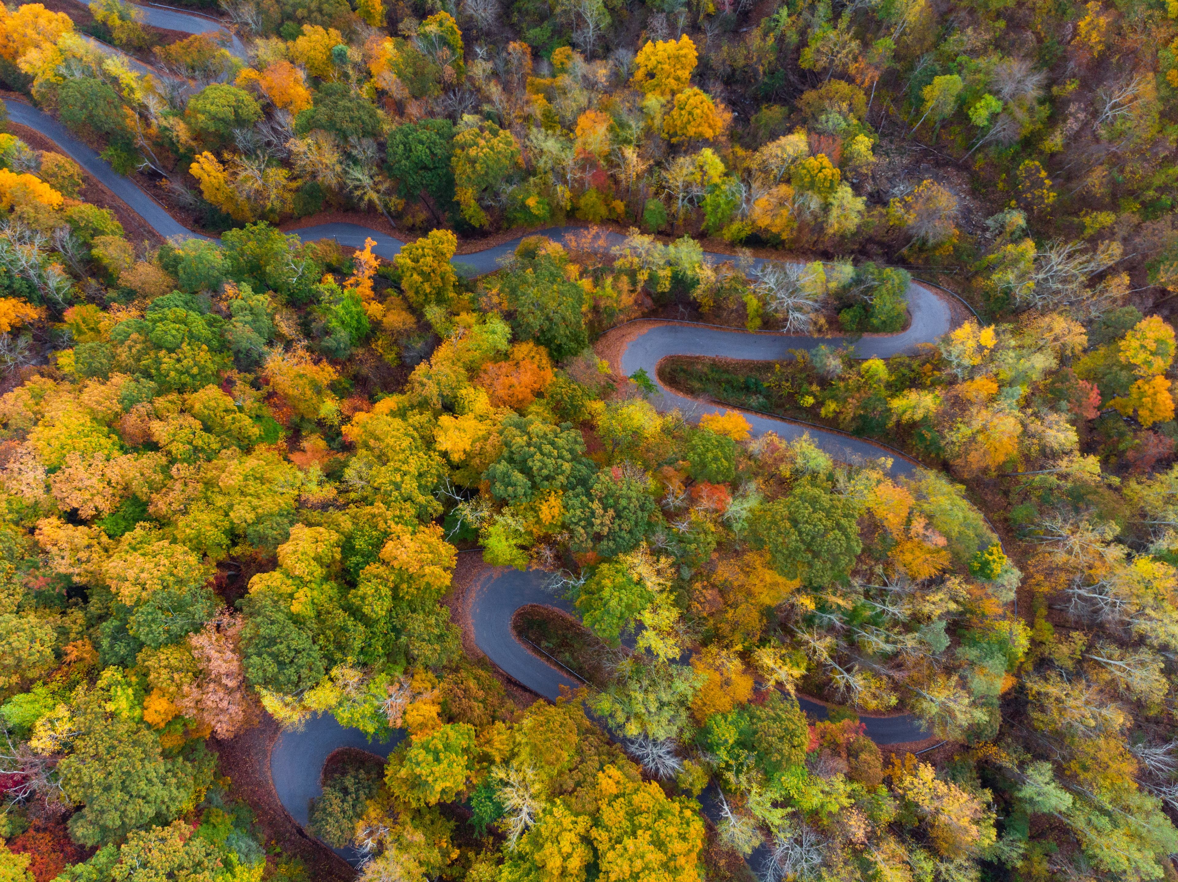 Winding Mountain Road in the Fall, Polk Co.
