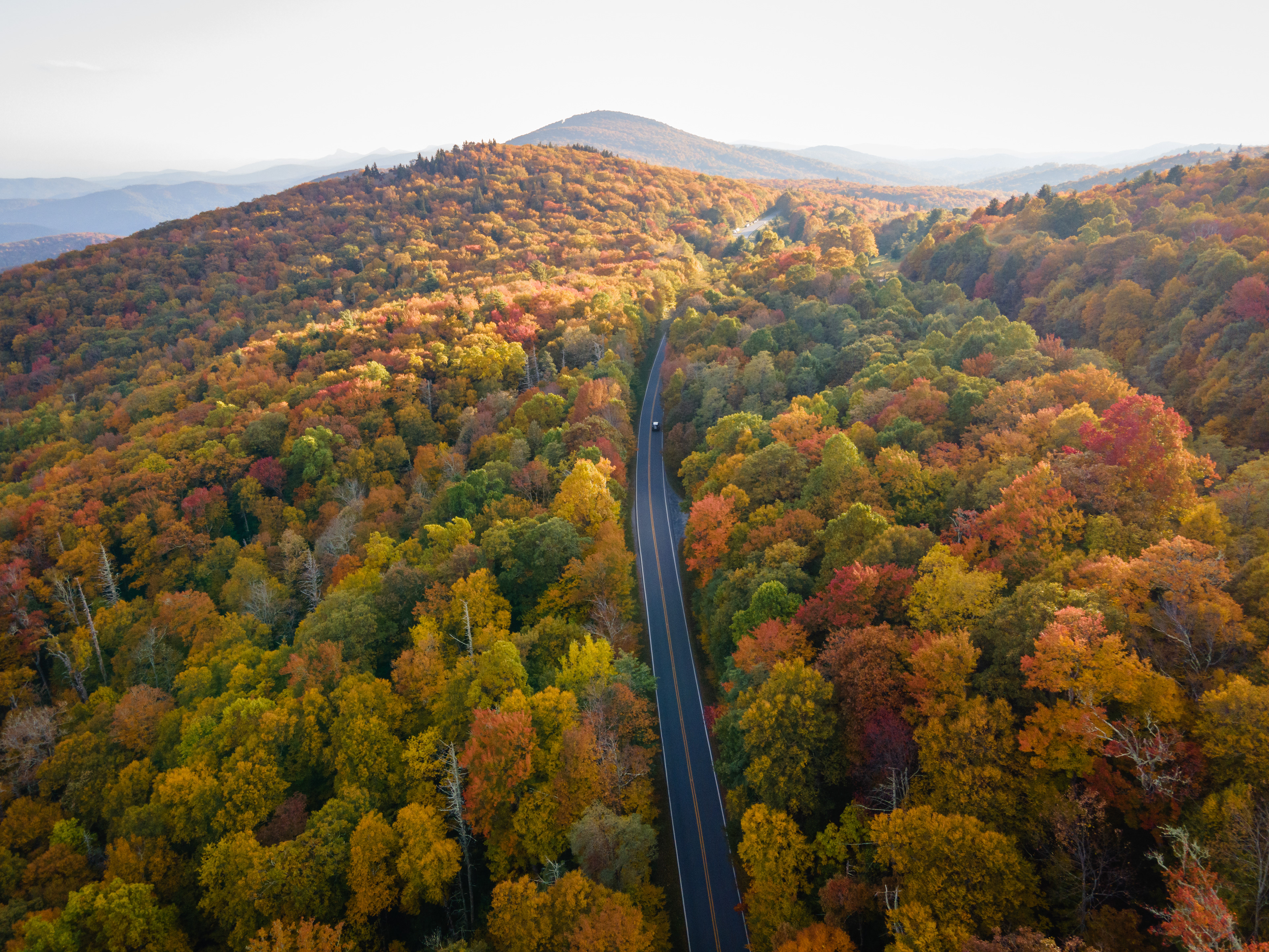 Fall in the High Country, Avery Co.
