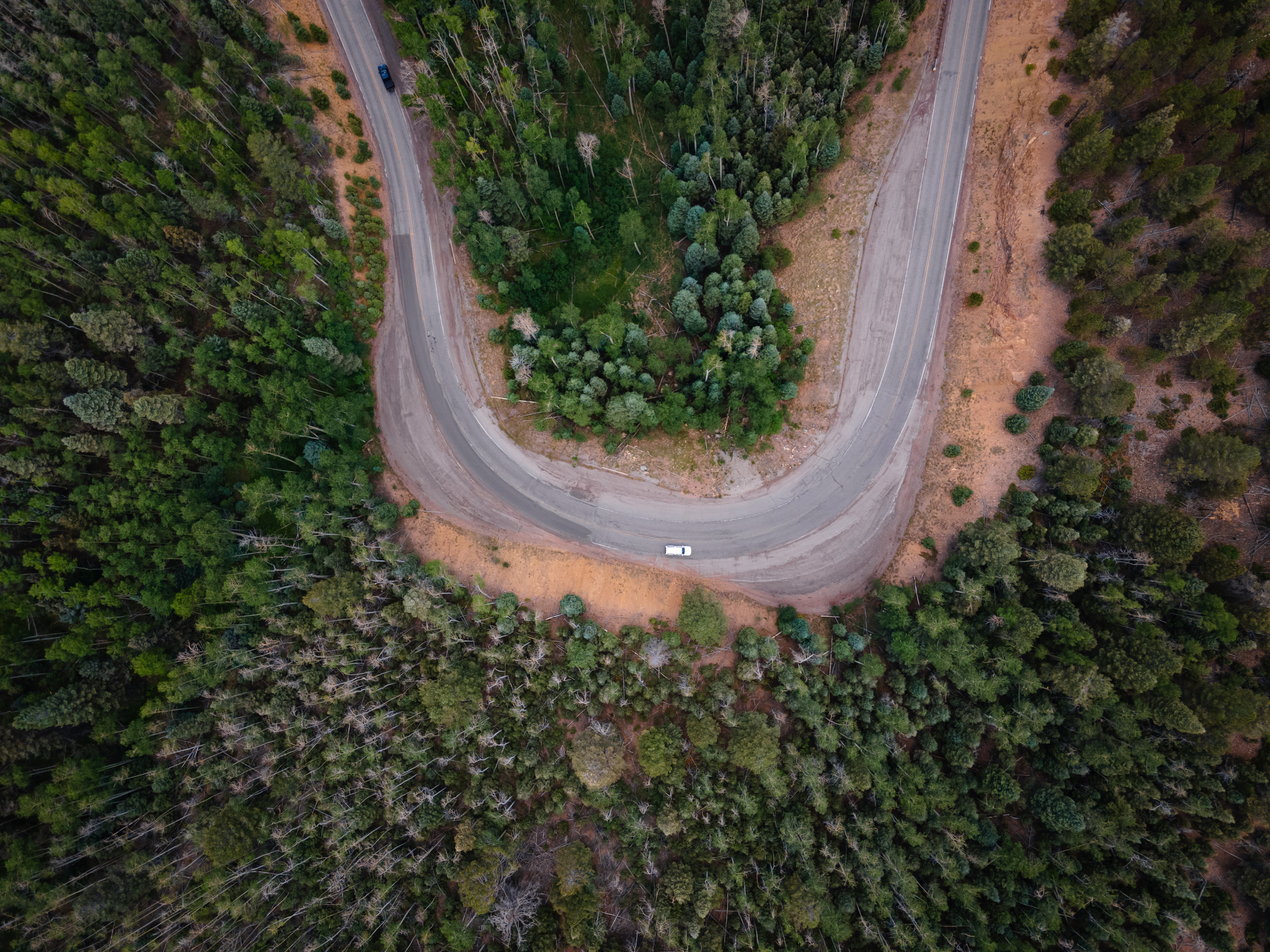 Mountain Road in the Sangre de Cristo Mountains, NM