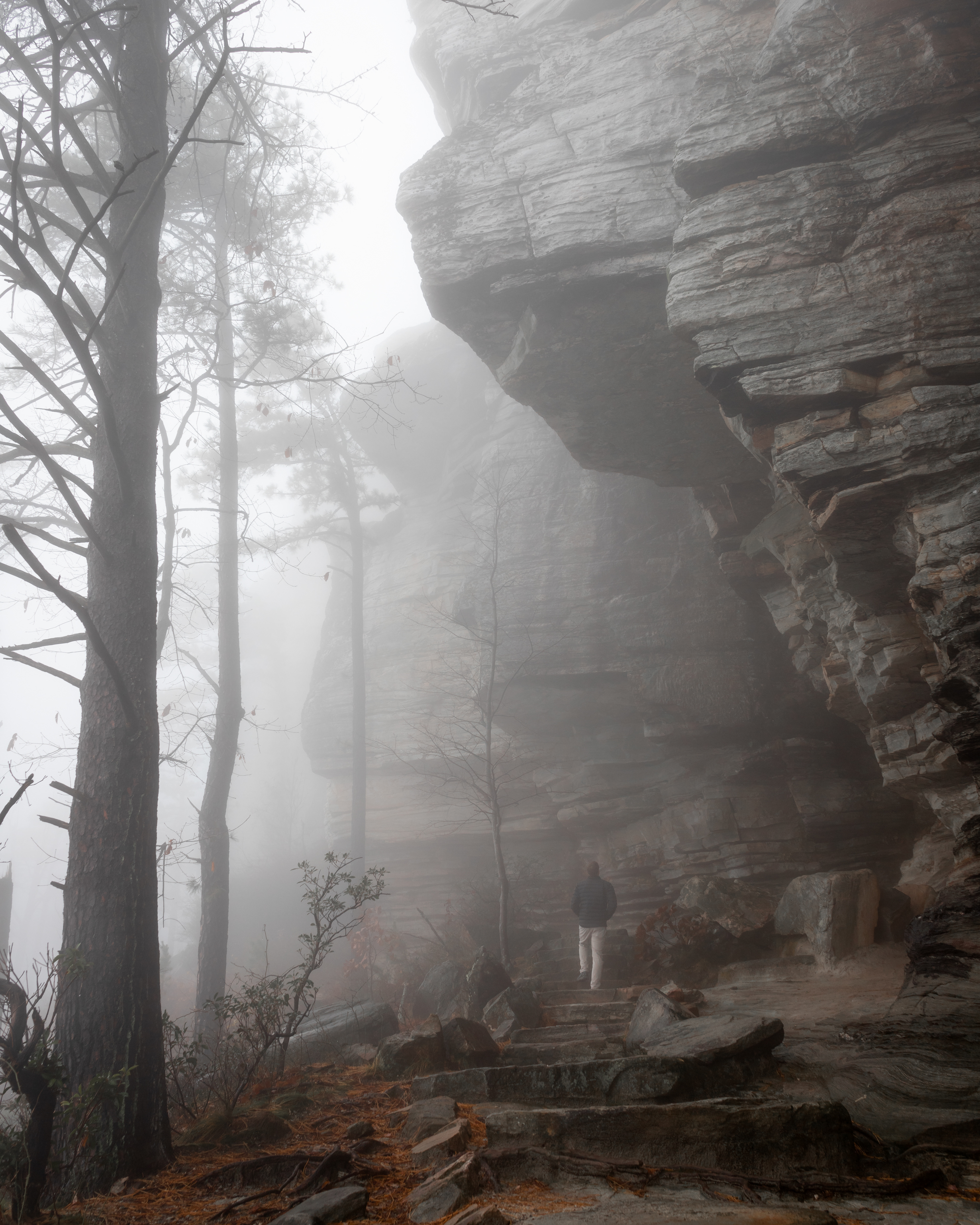 Pilot Mountain in the Fog, Surry Co.