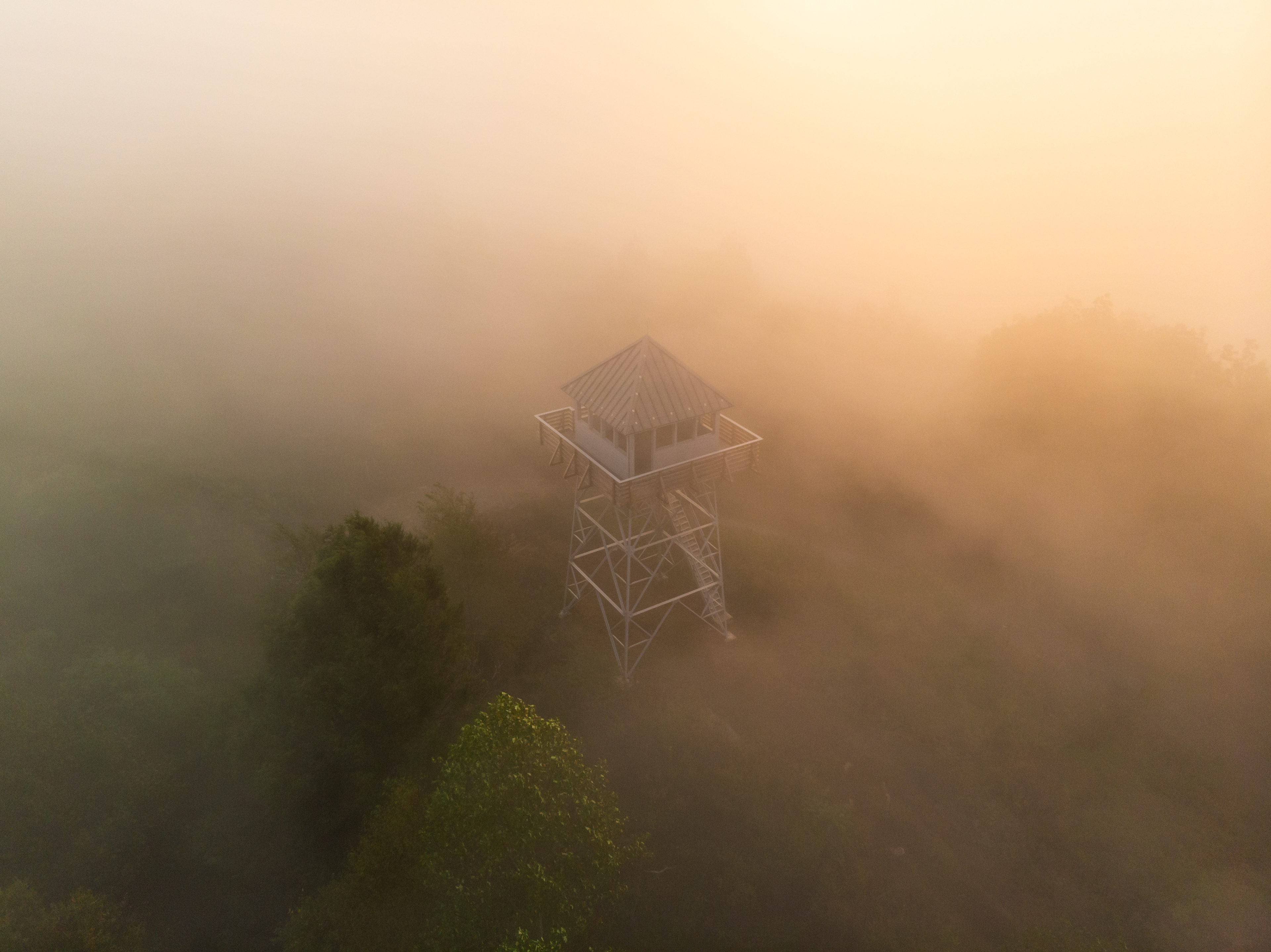 Foggy Sunrise over Rich Mountain, Madison Co.