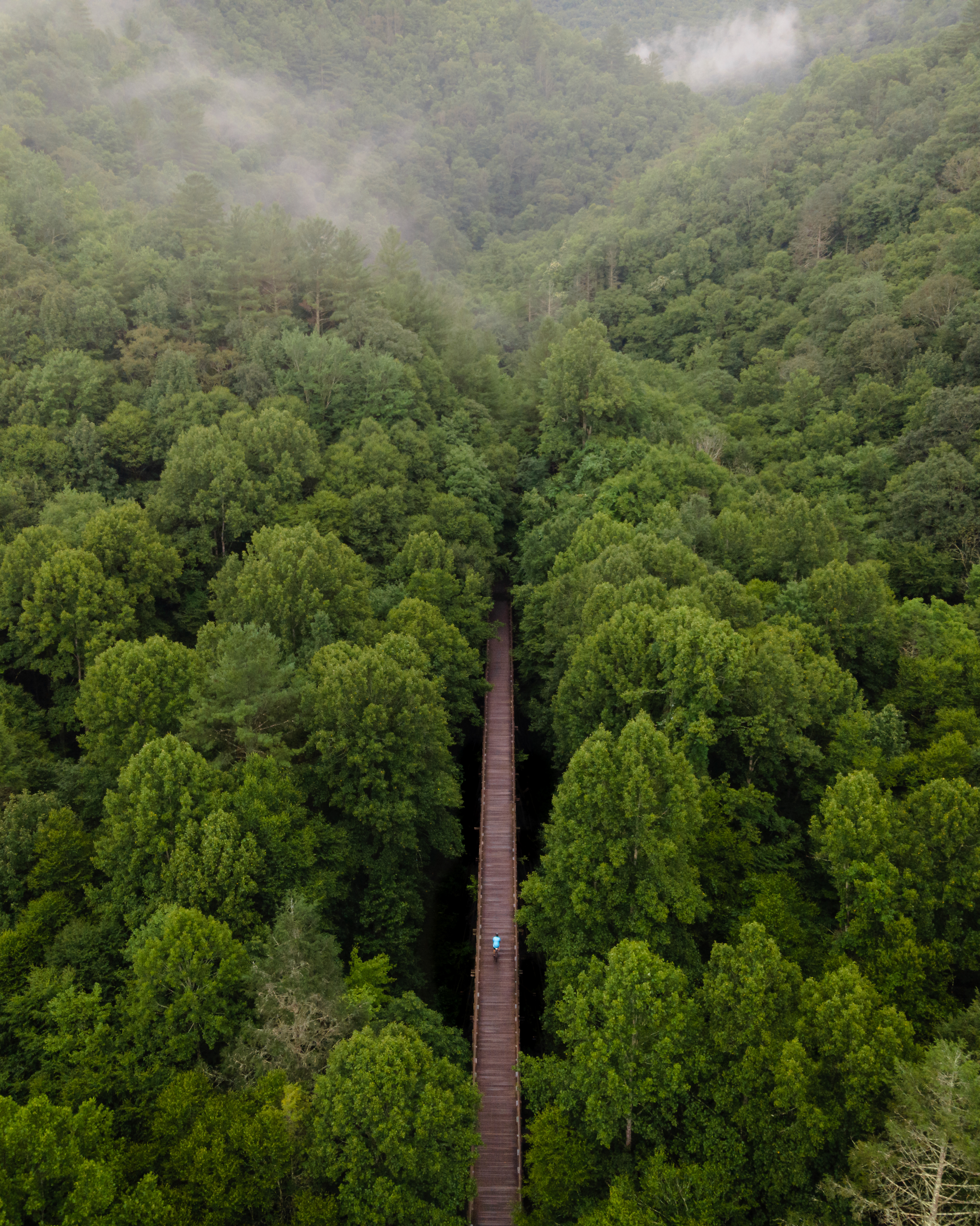 Virginia Creeper Trail, Damascus, VA