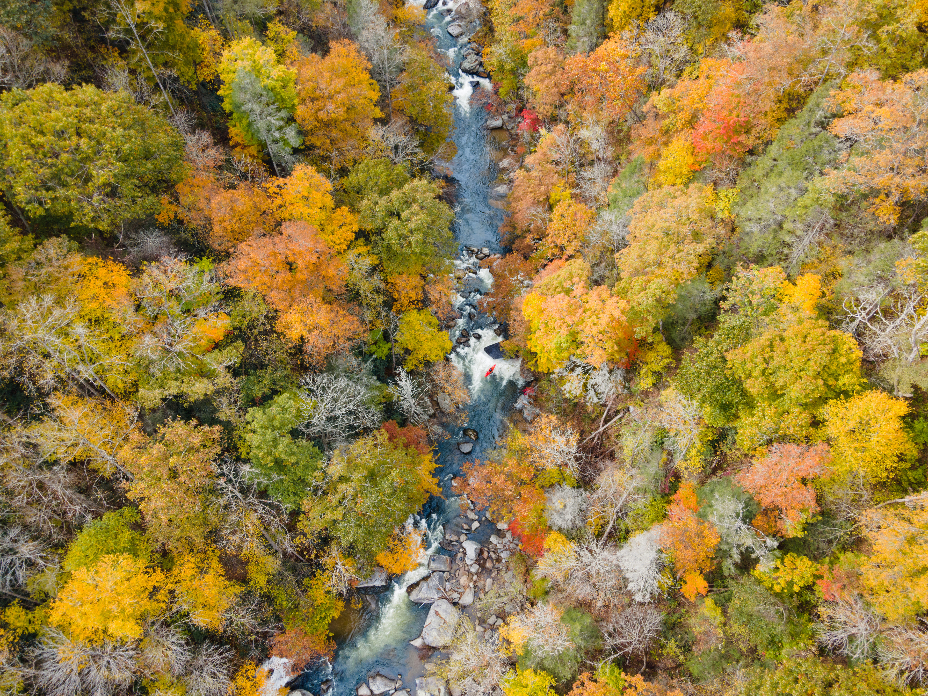 Fall Colors at the Green River Race, Henderson Co.