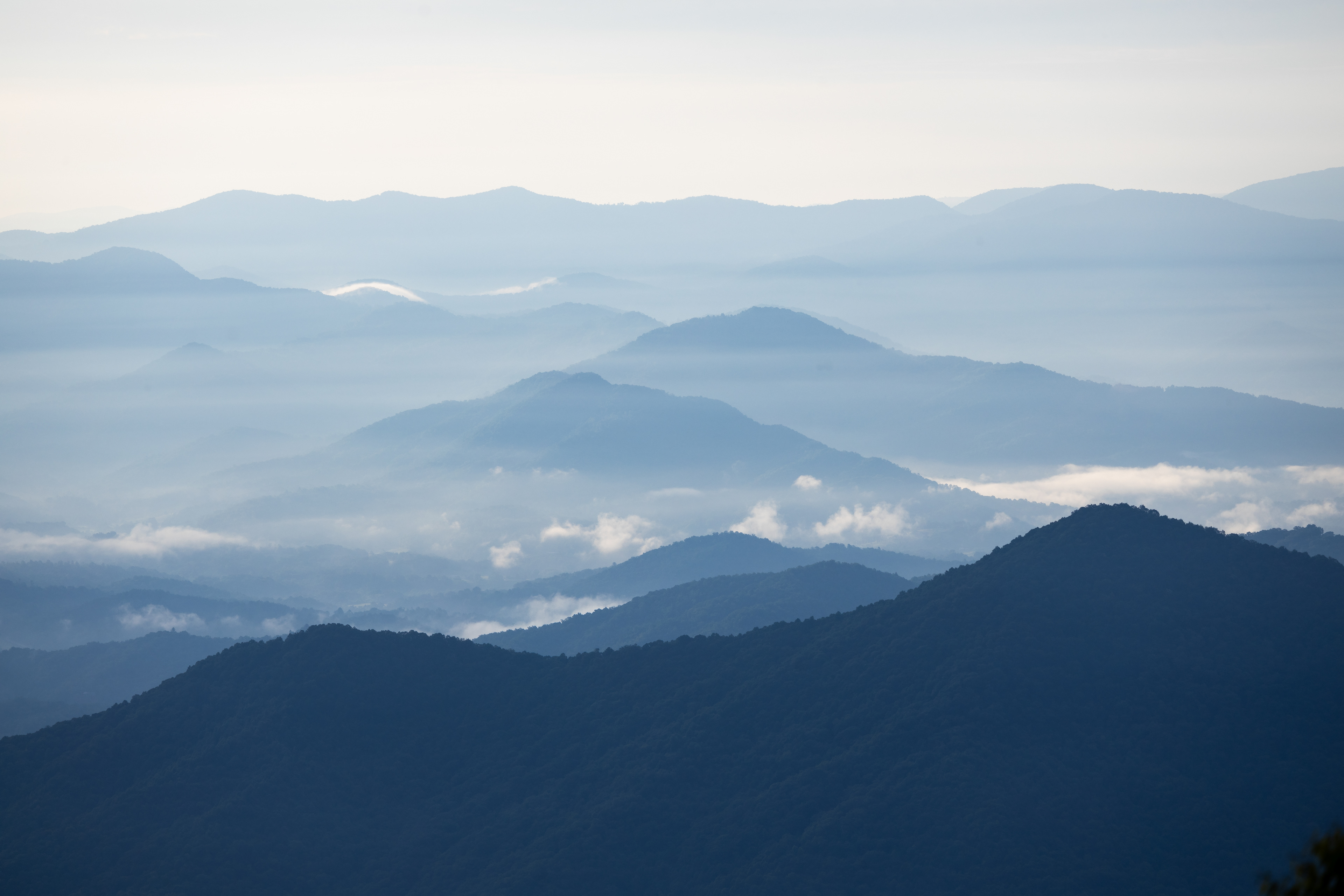 Blue Ridge Layers, Macon Co.
