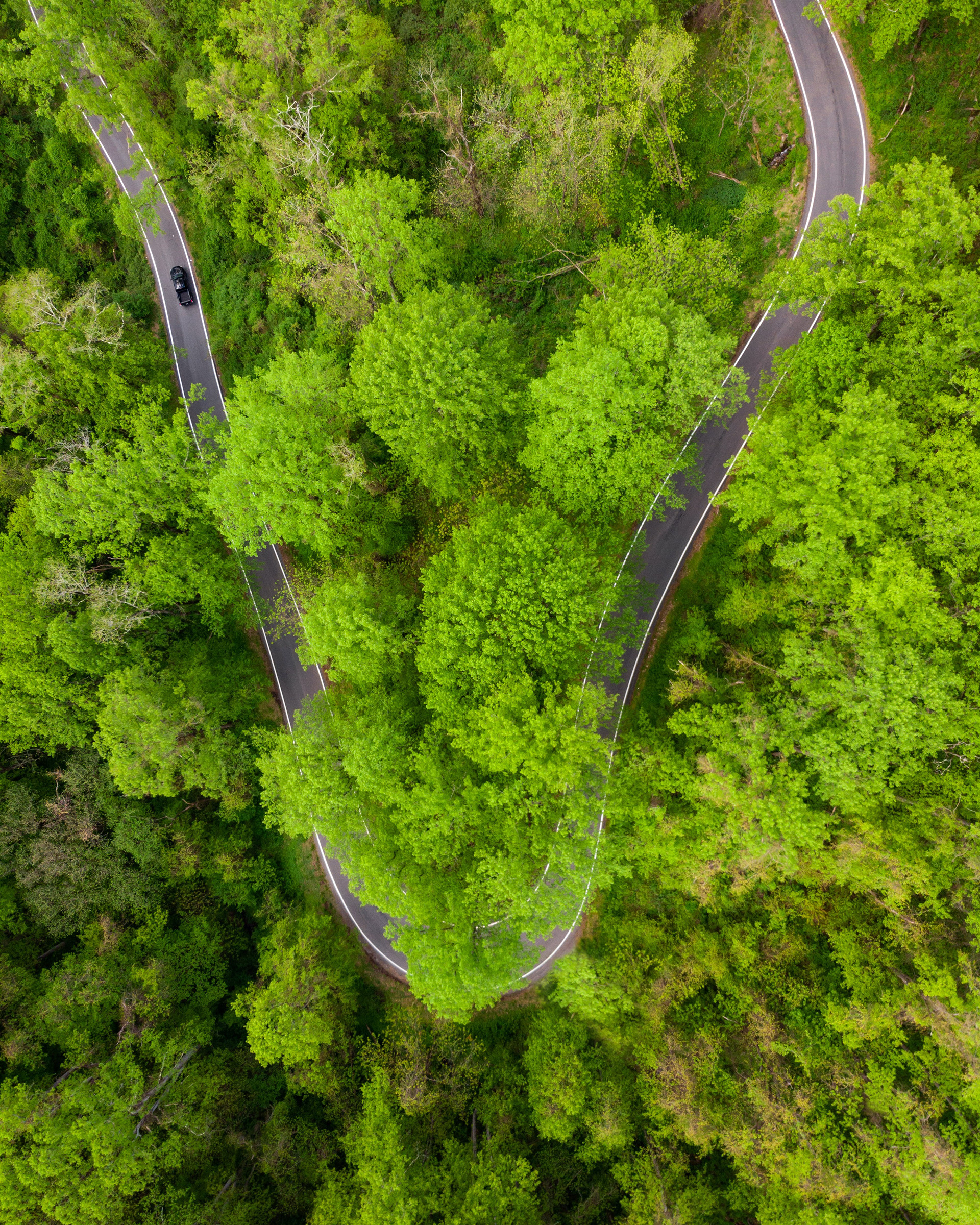 Winding Mountain Road in Carroll Co. VA
