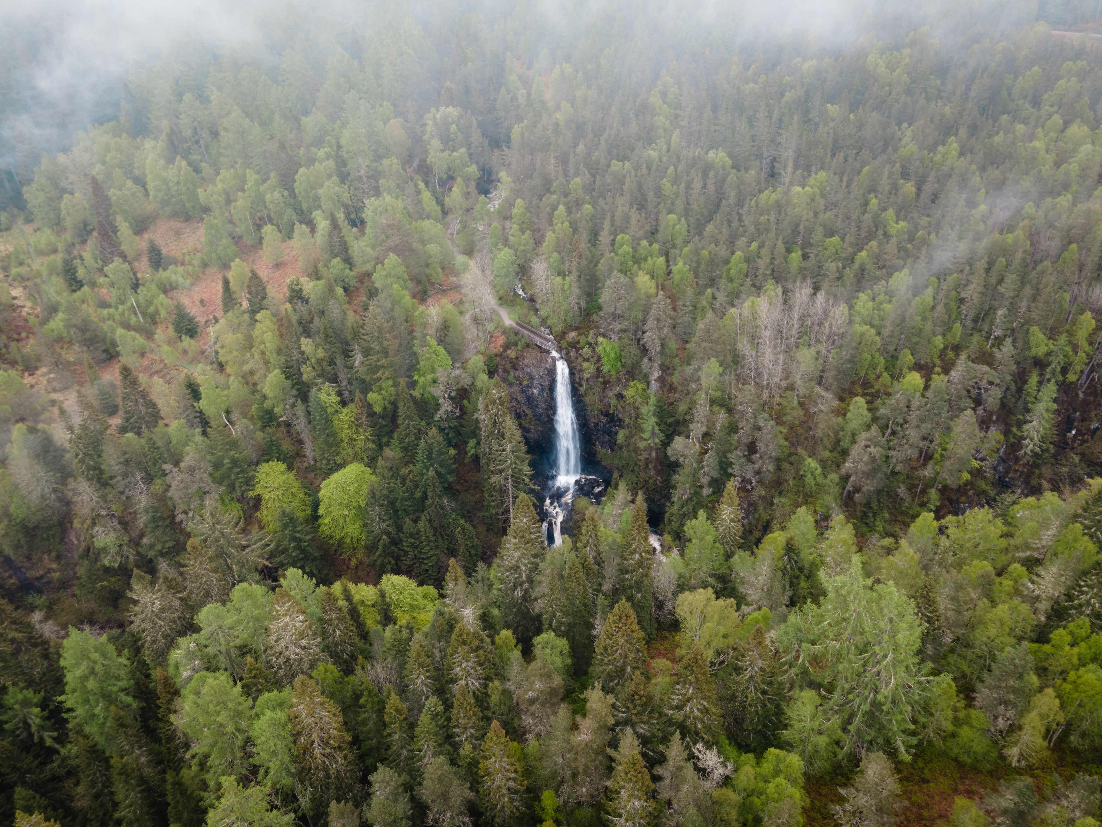 Plodda Falls, Tomich