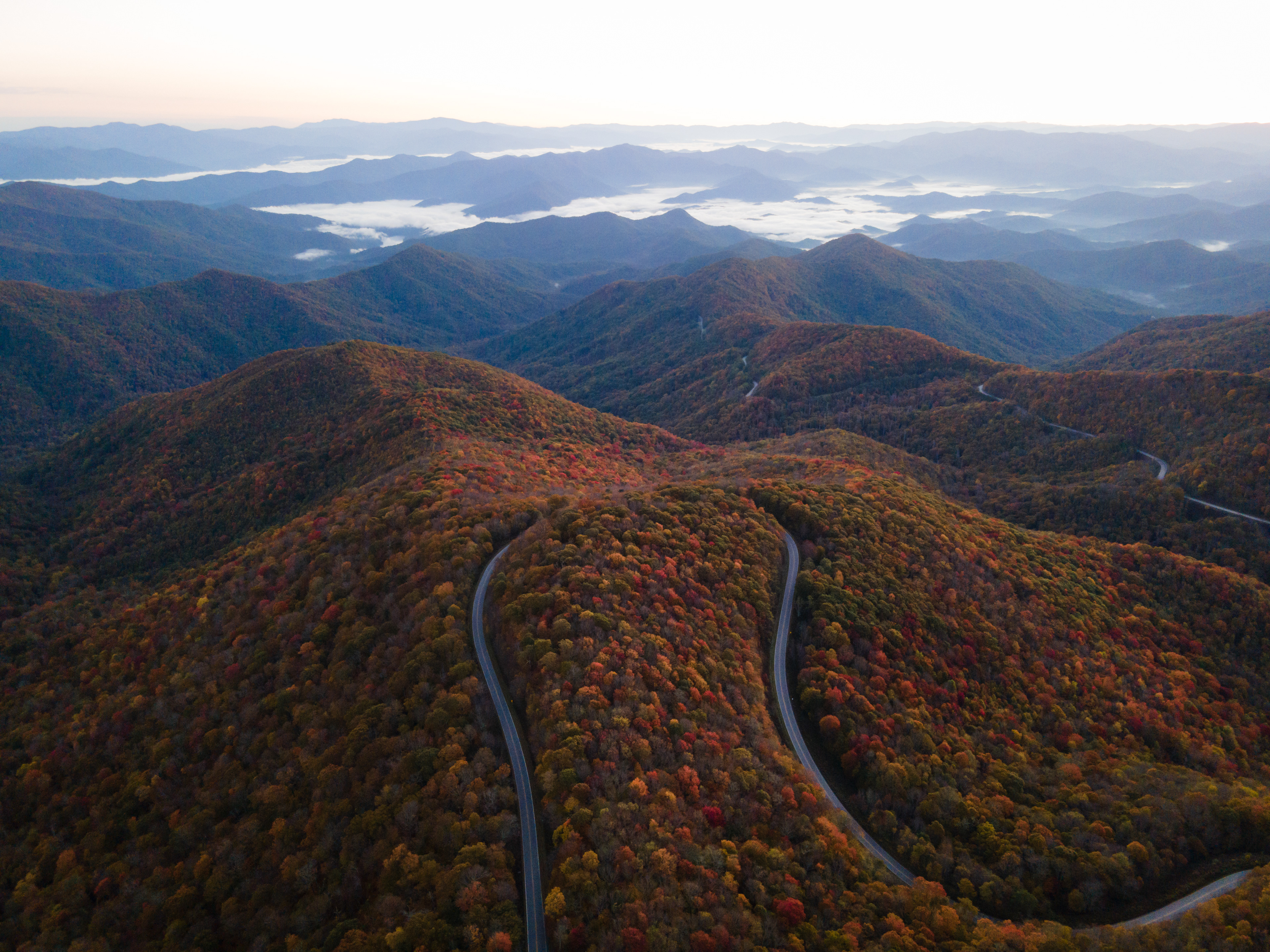 First Light in the Nantahala NF, Graham Co.