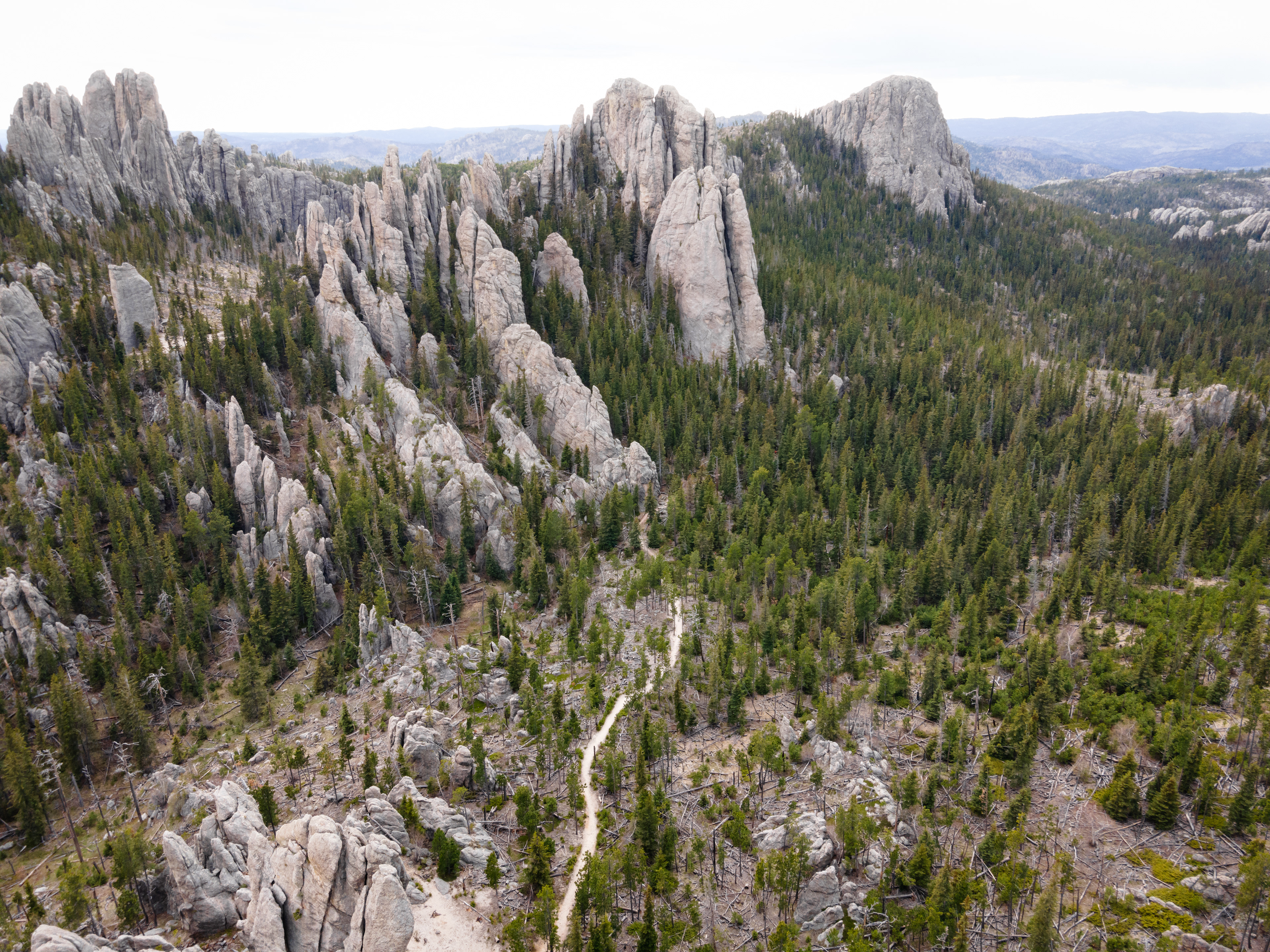 Cathedral Spires in the Black Hills, SD