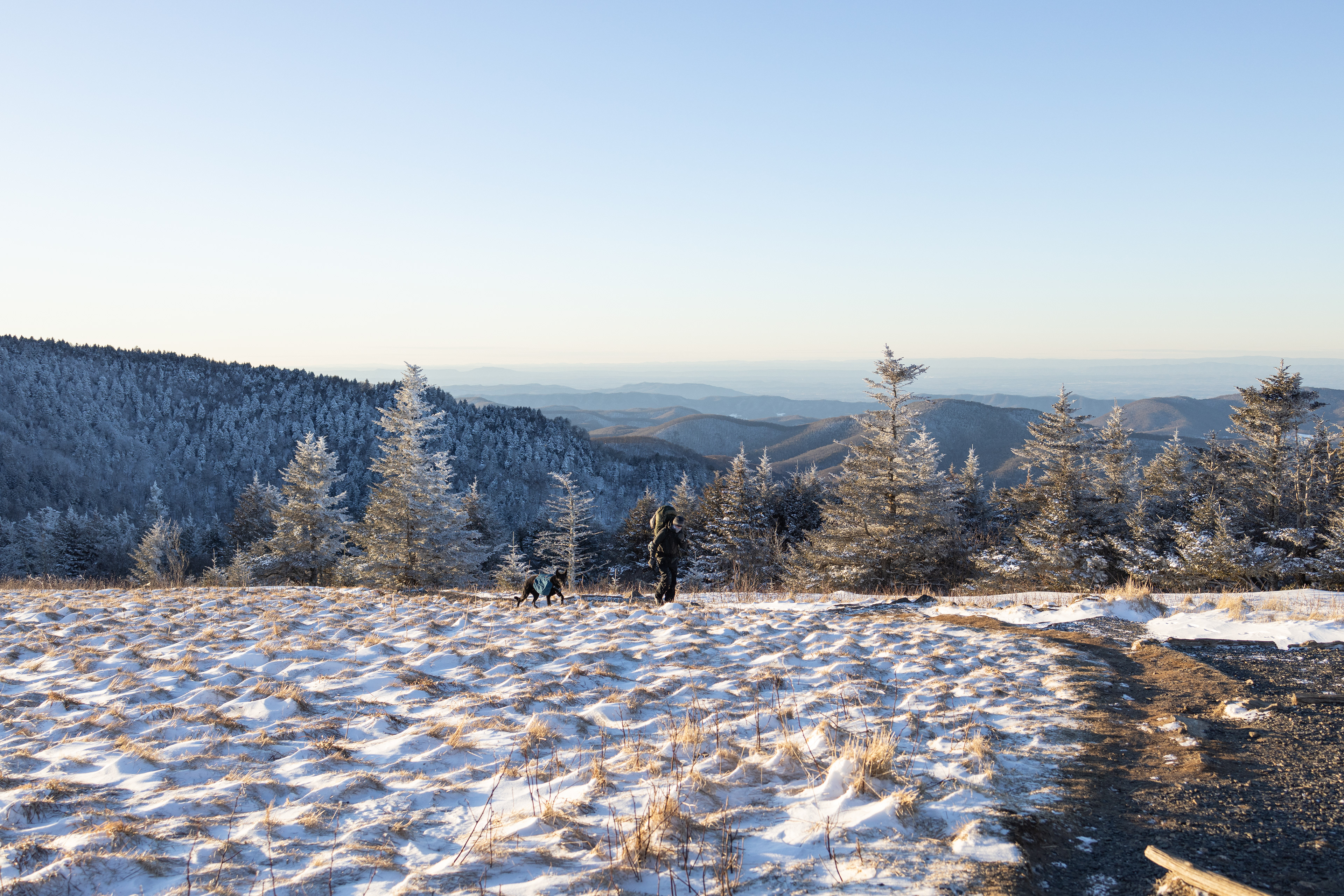 Mid-Winter Hiking at Roan Mountain, Mitchell Co.