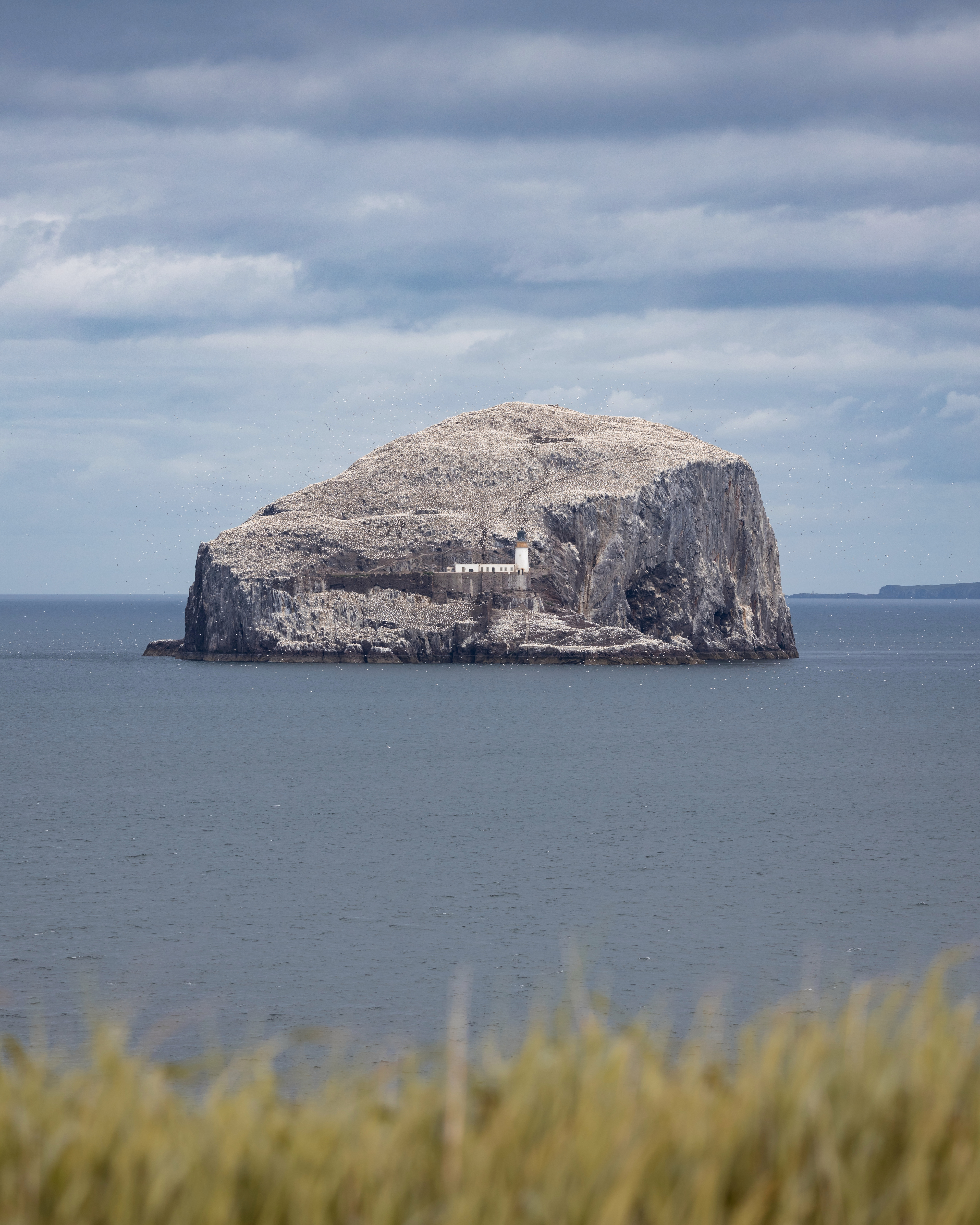 Bass Rock, North Berwick