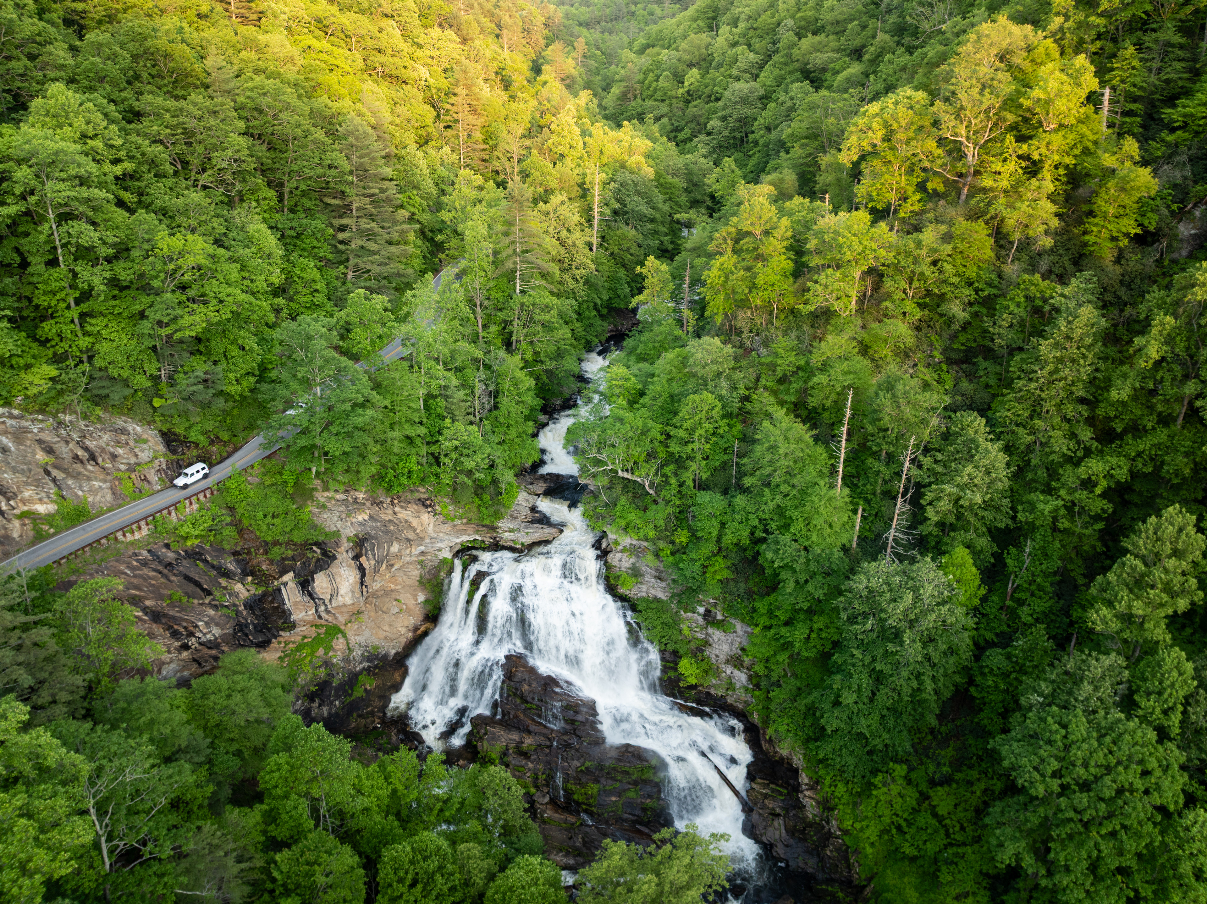 Evening Light in the Cullasaja Gorge, Macon Co.