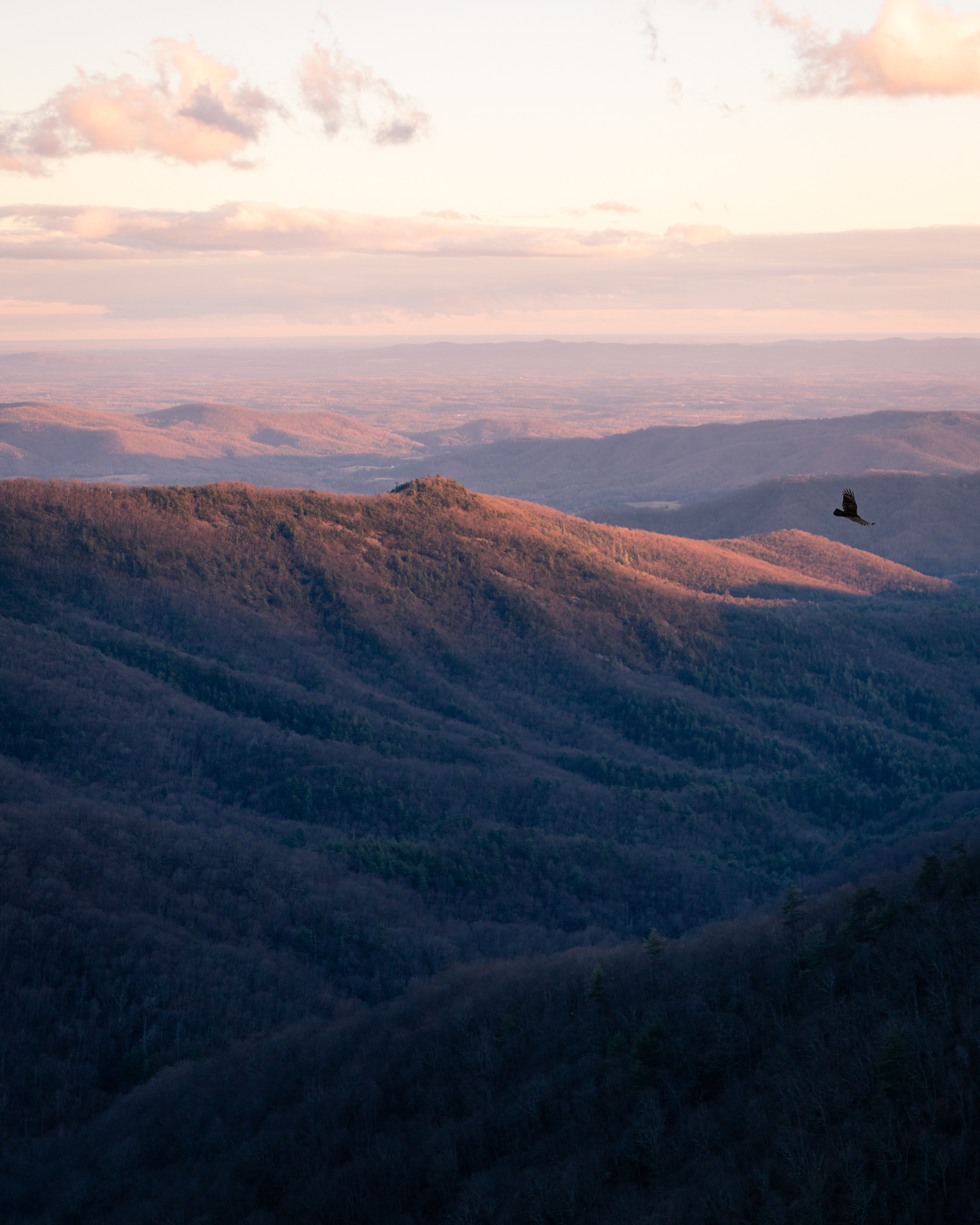 Sunset over the Blue Ridge, Alleghany Co.