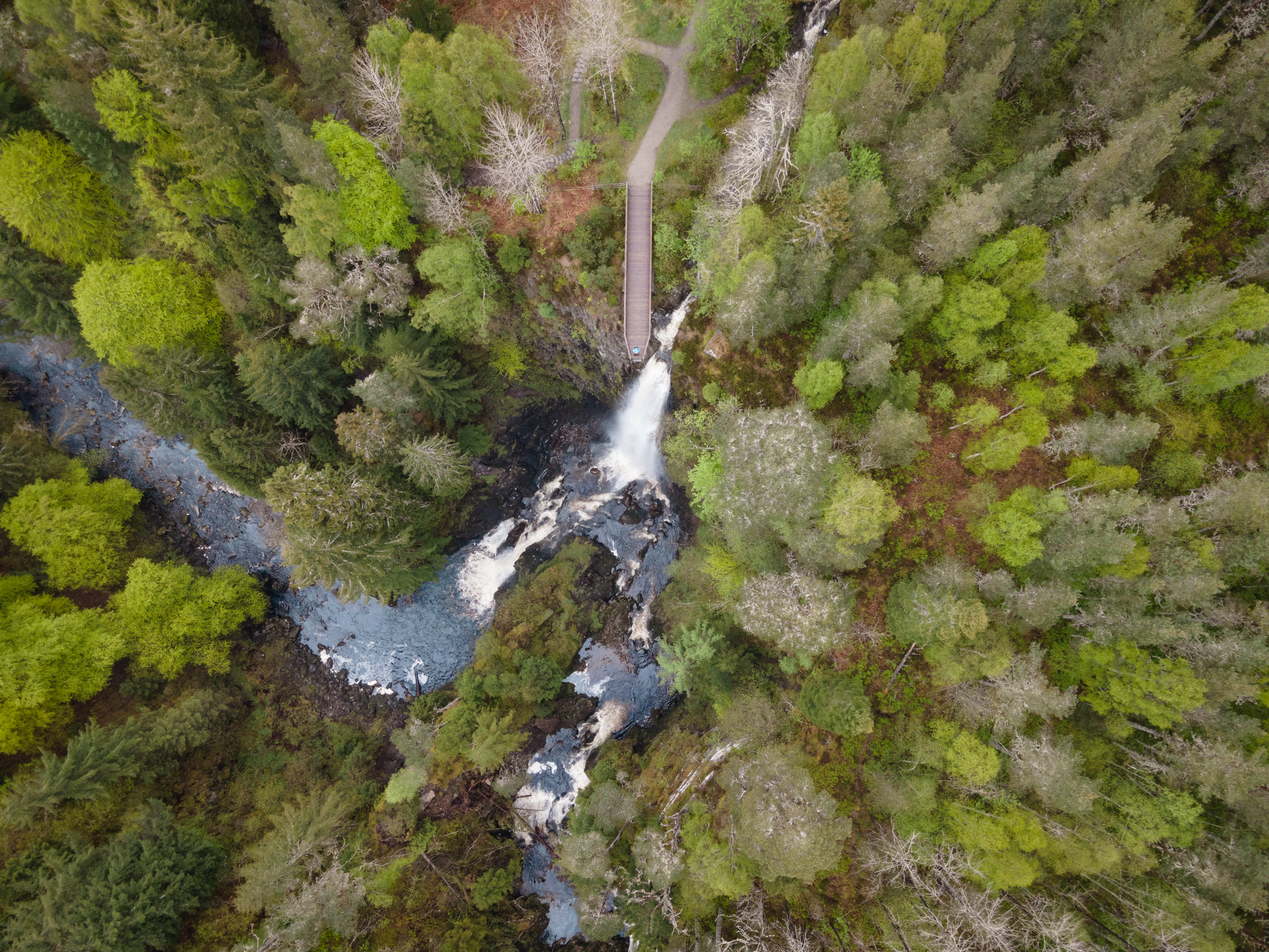 Plodda Falls, Tomich