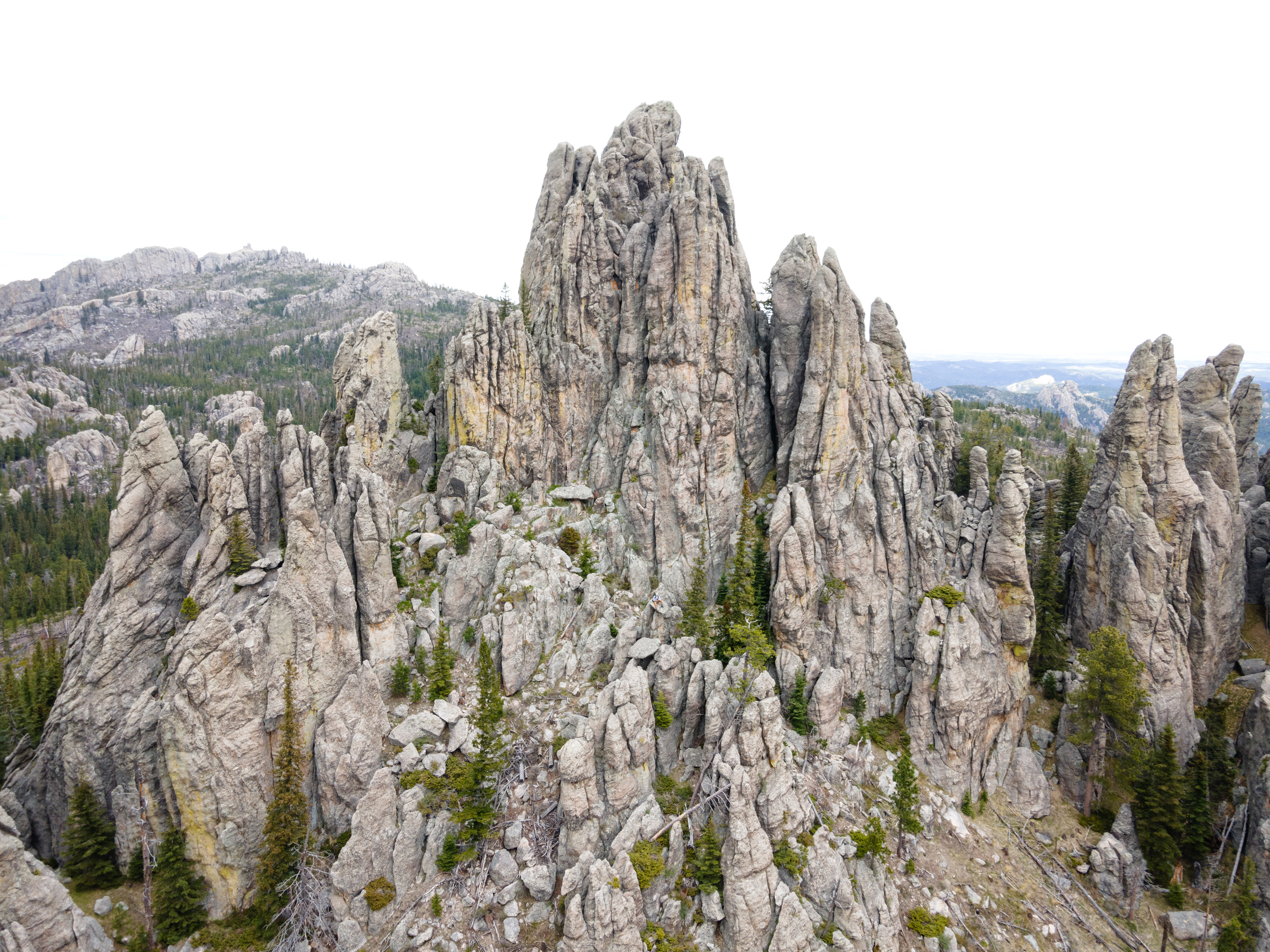 Cathedral Spires in the Black Hills, SD