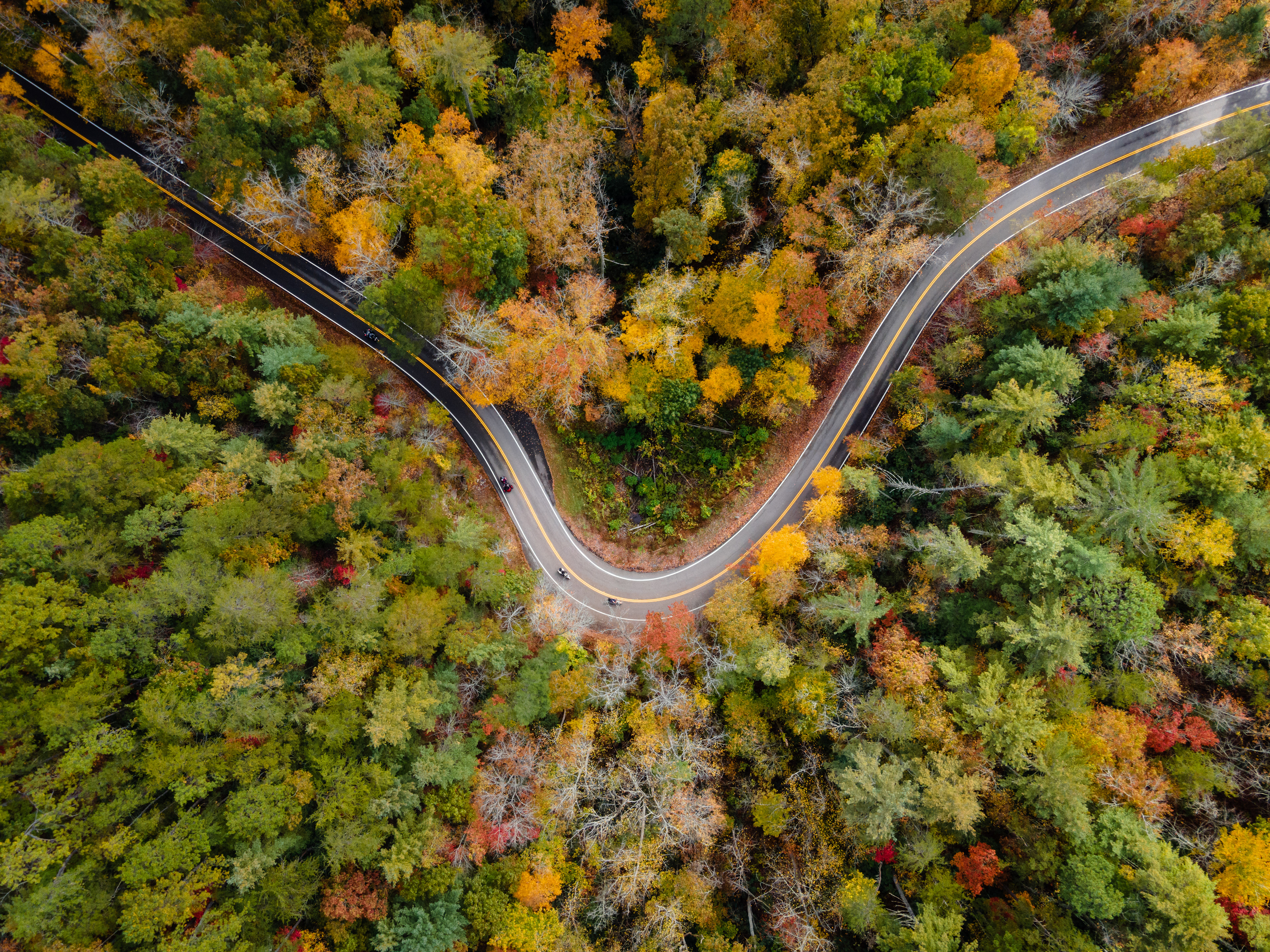 Tail of the Dragon in the Fall, Blount Co, TN
