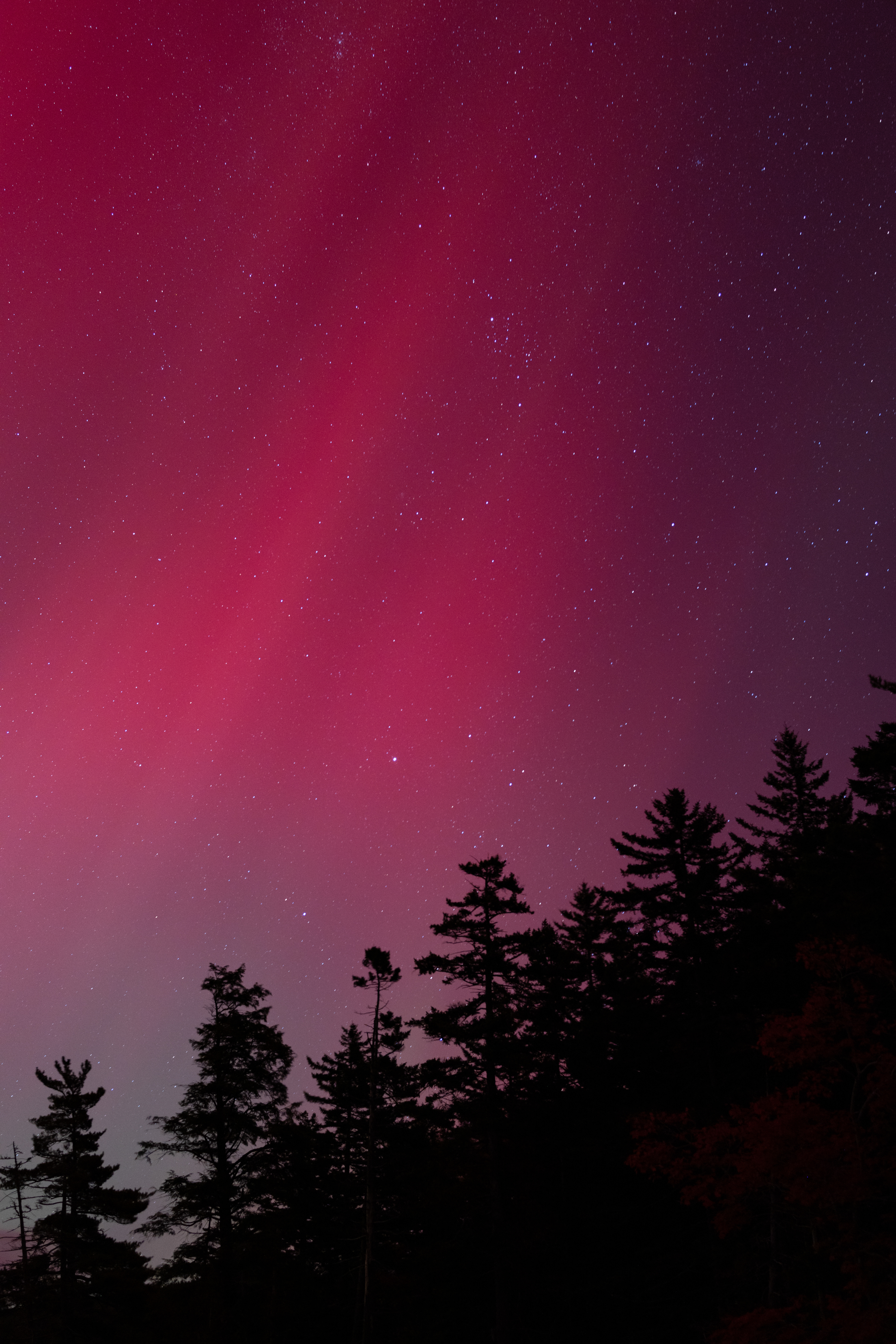 Aurora Borealis over Acadia NP