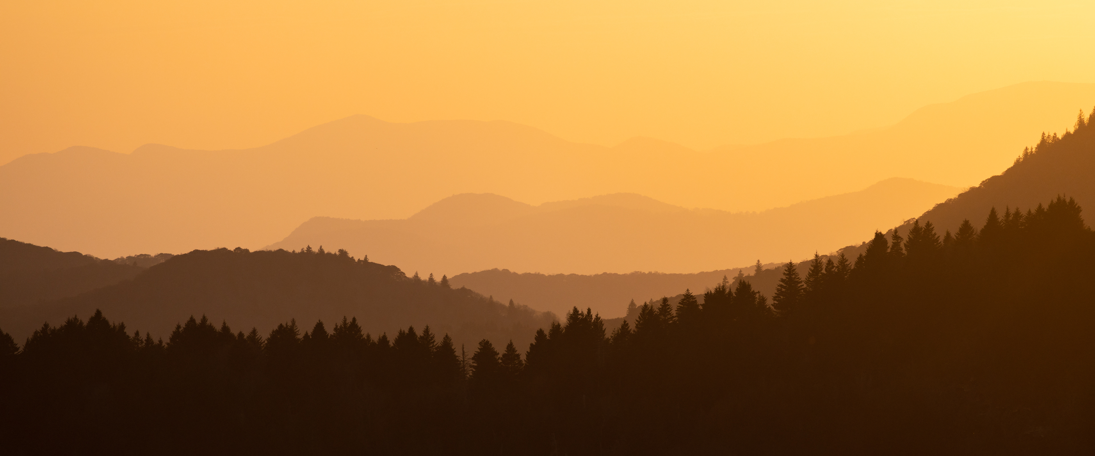 Blue Ridge Layers at Golden Hour, Haywood Co.