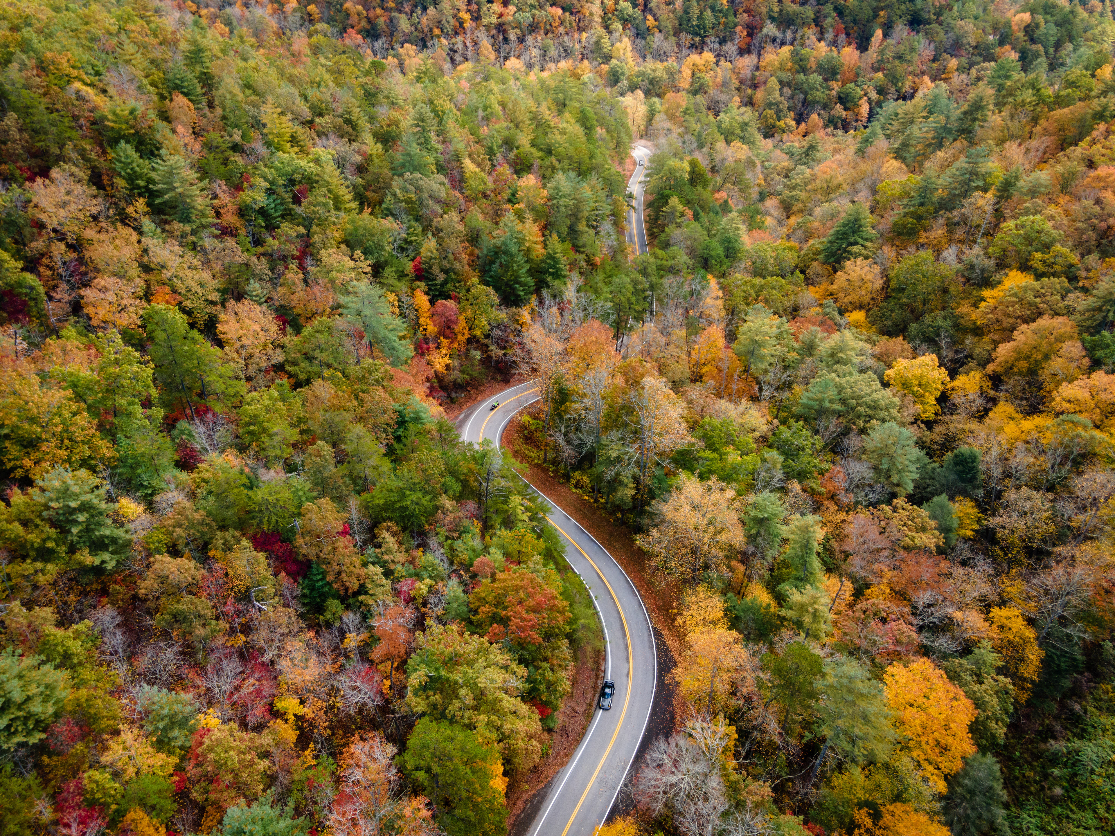 Tail of the Dragon in the Fall, Blount Co, TN