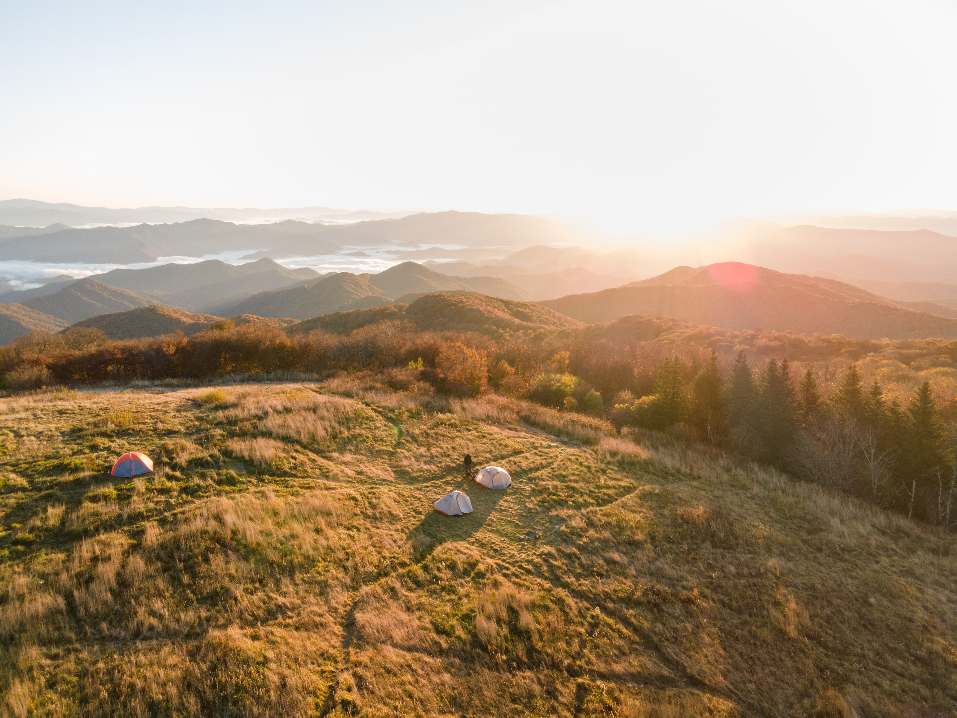 Mountain-top Sunrise in the Nantahala NF, Graham Co.