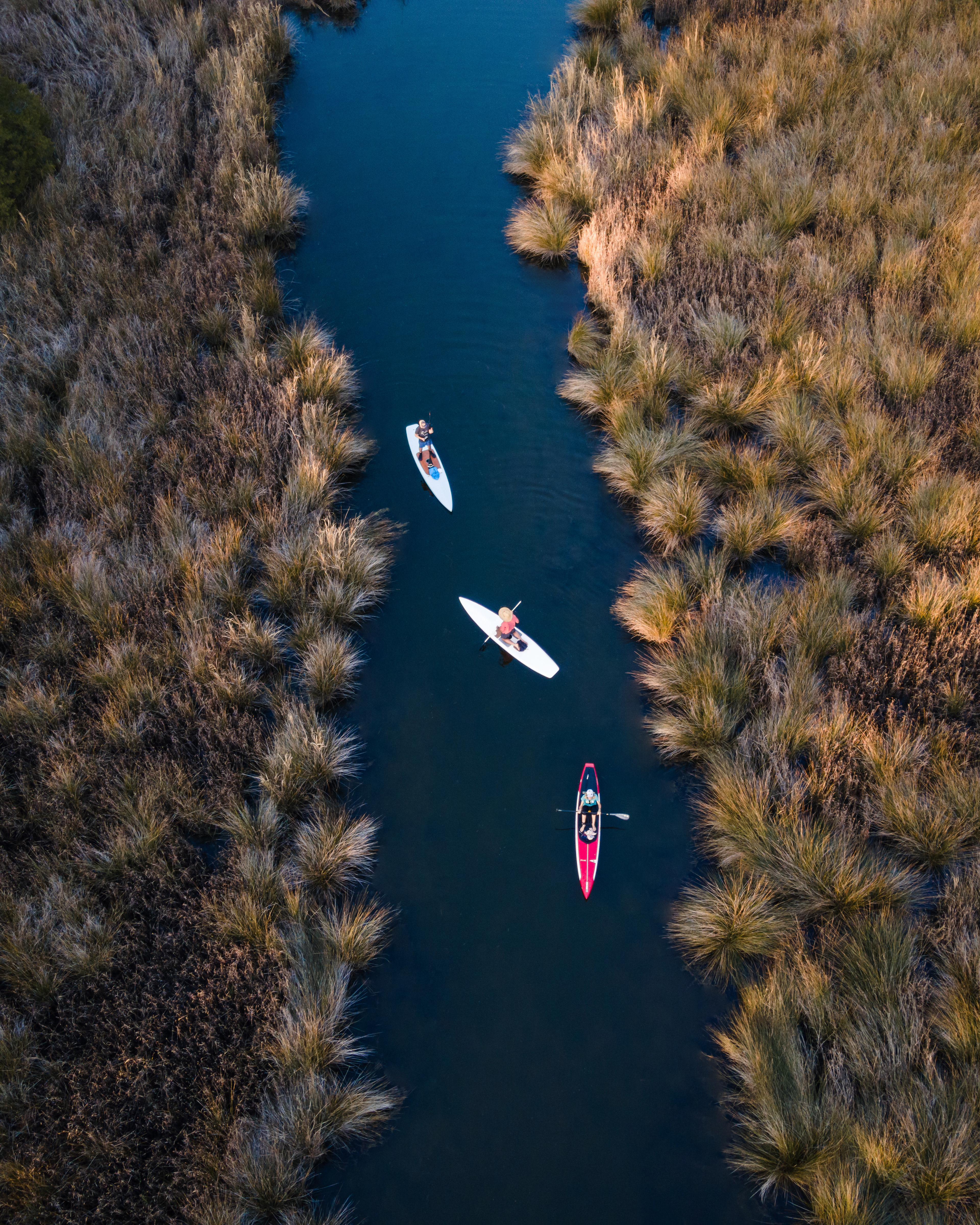 Paddling in Pamlico County