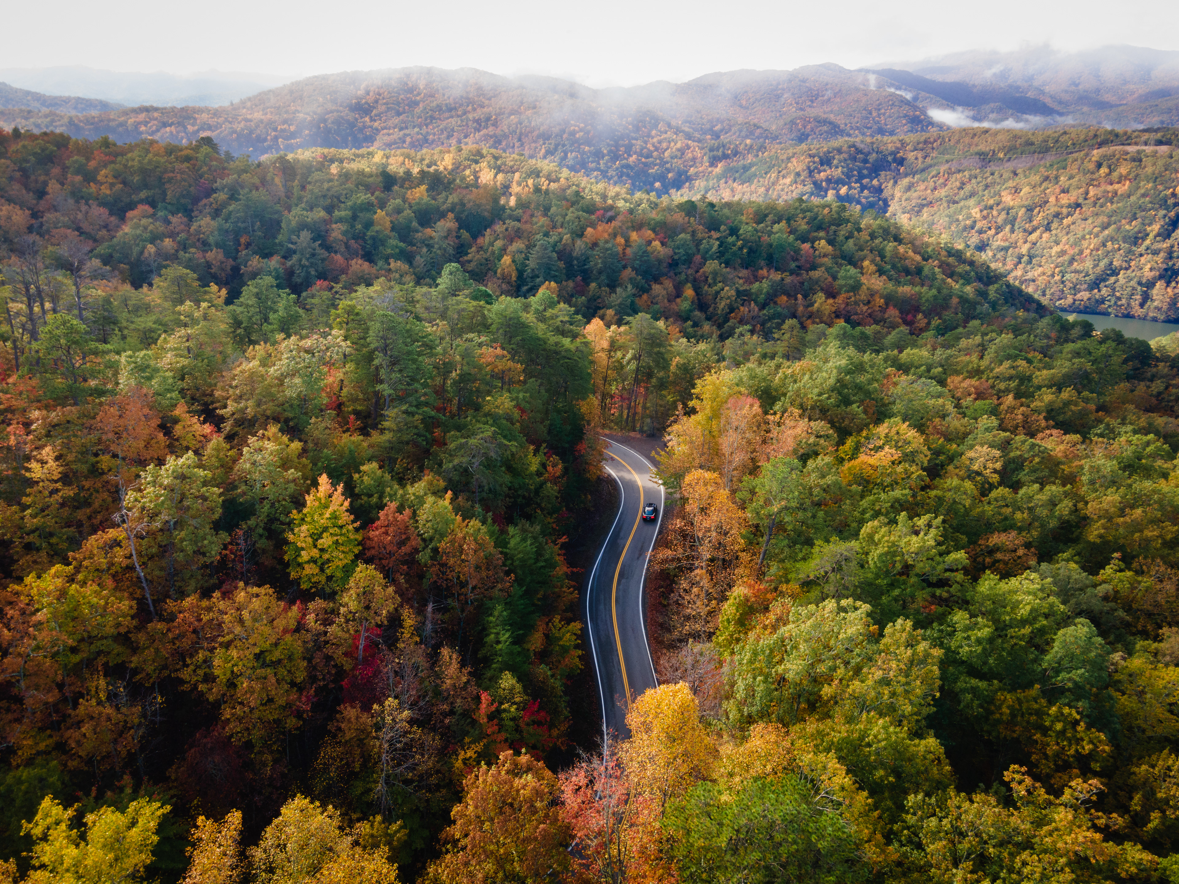 Tail of the Dragon in the Fall, Blount Co, TN