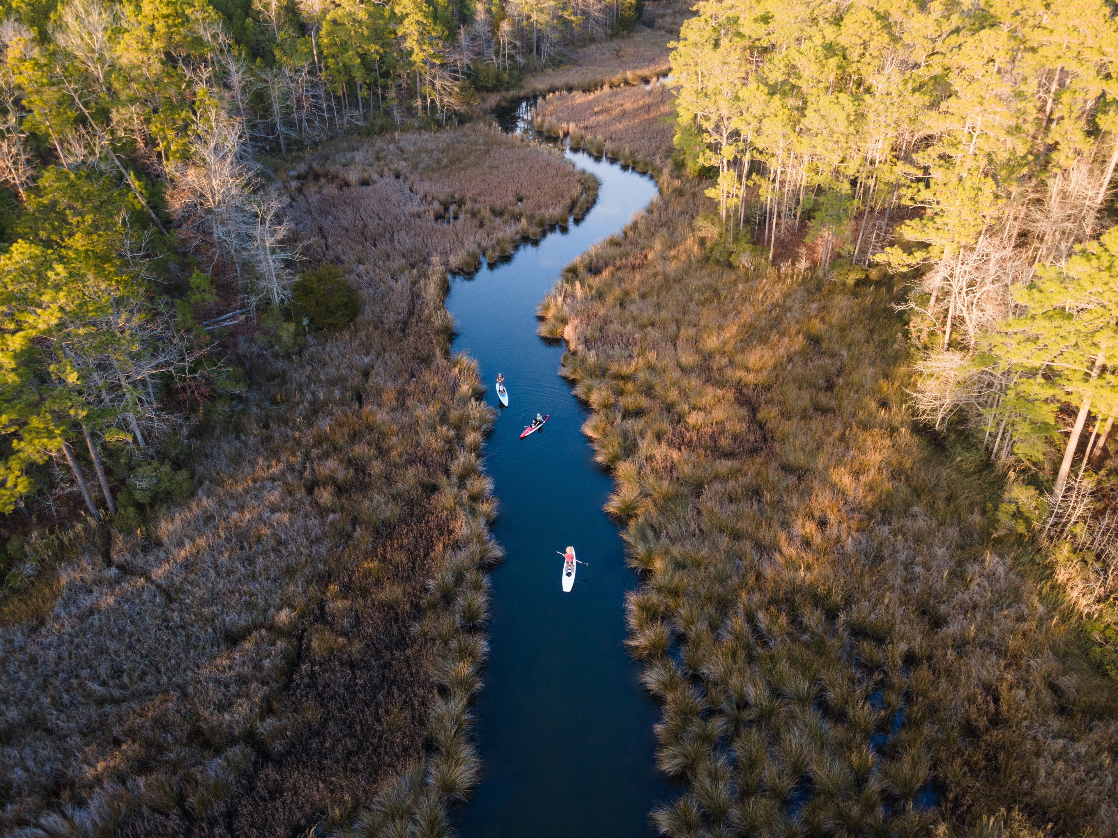 Paddling in Pamlico County
