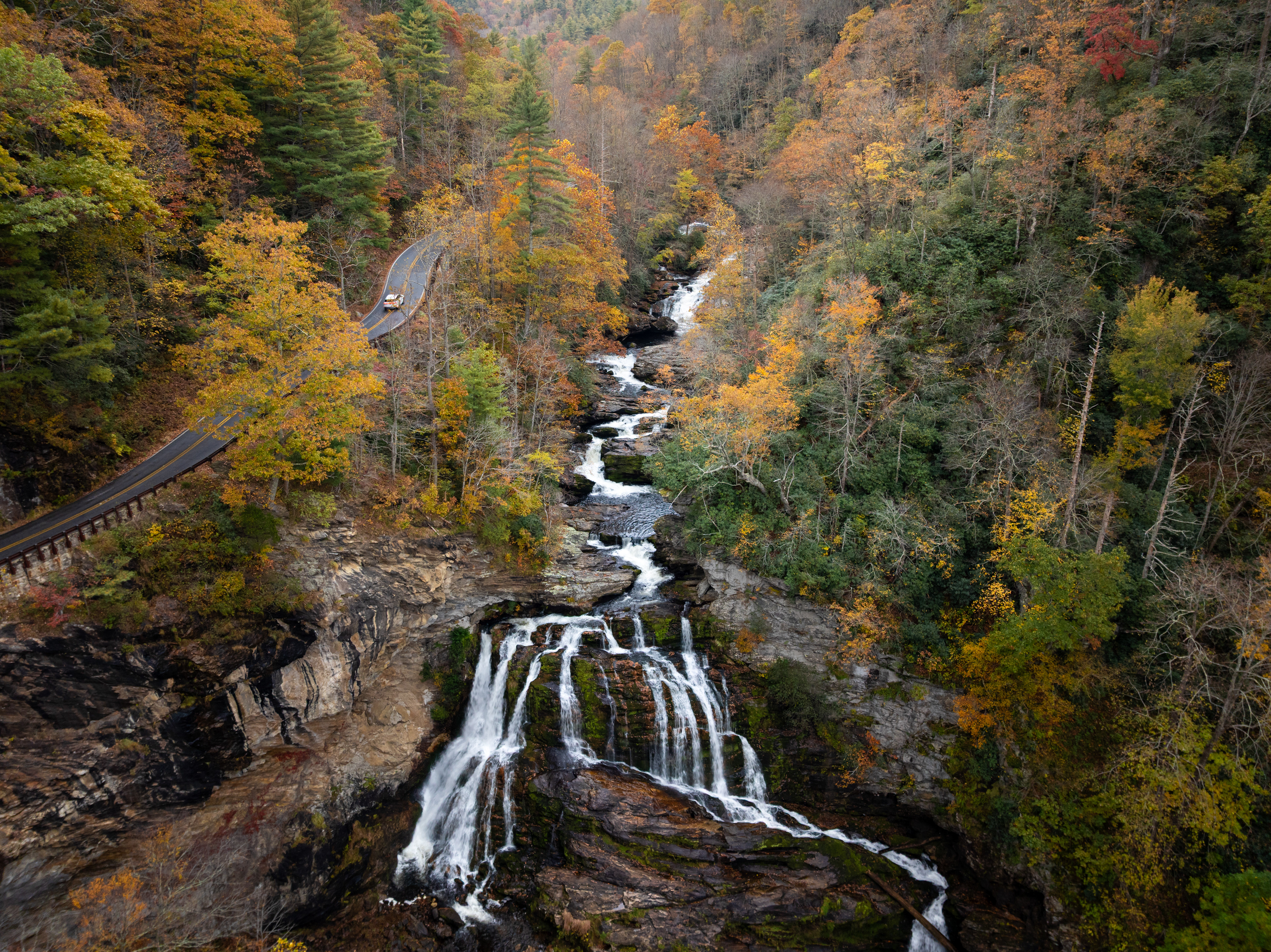 Fall Colors in the Cullasaja Gorge, Macon Co.