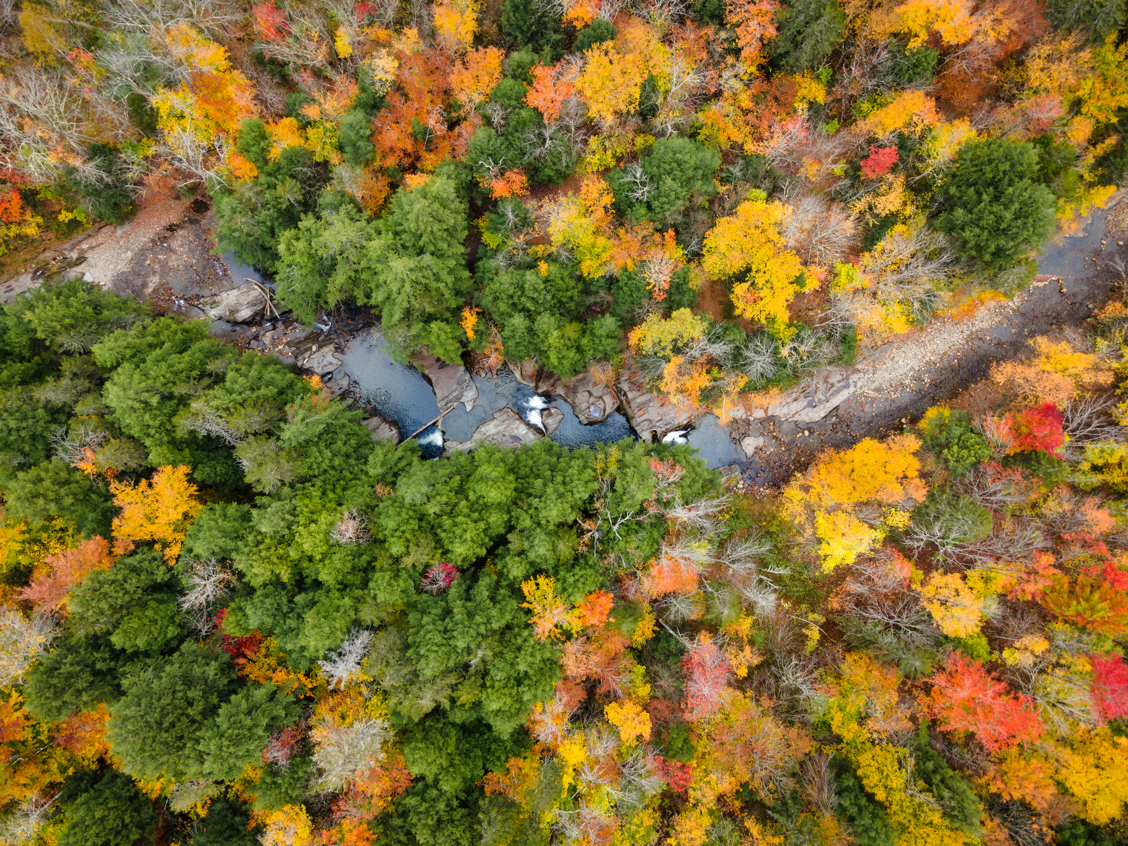 Warren Falls in Autumn in the Green Mountains, VT
