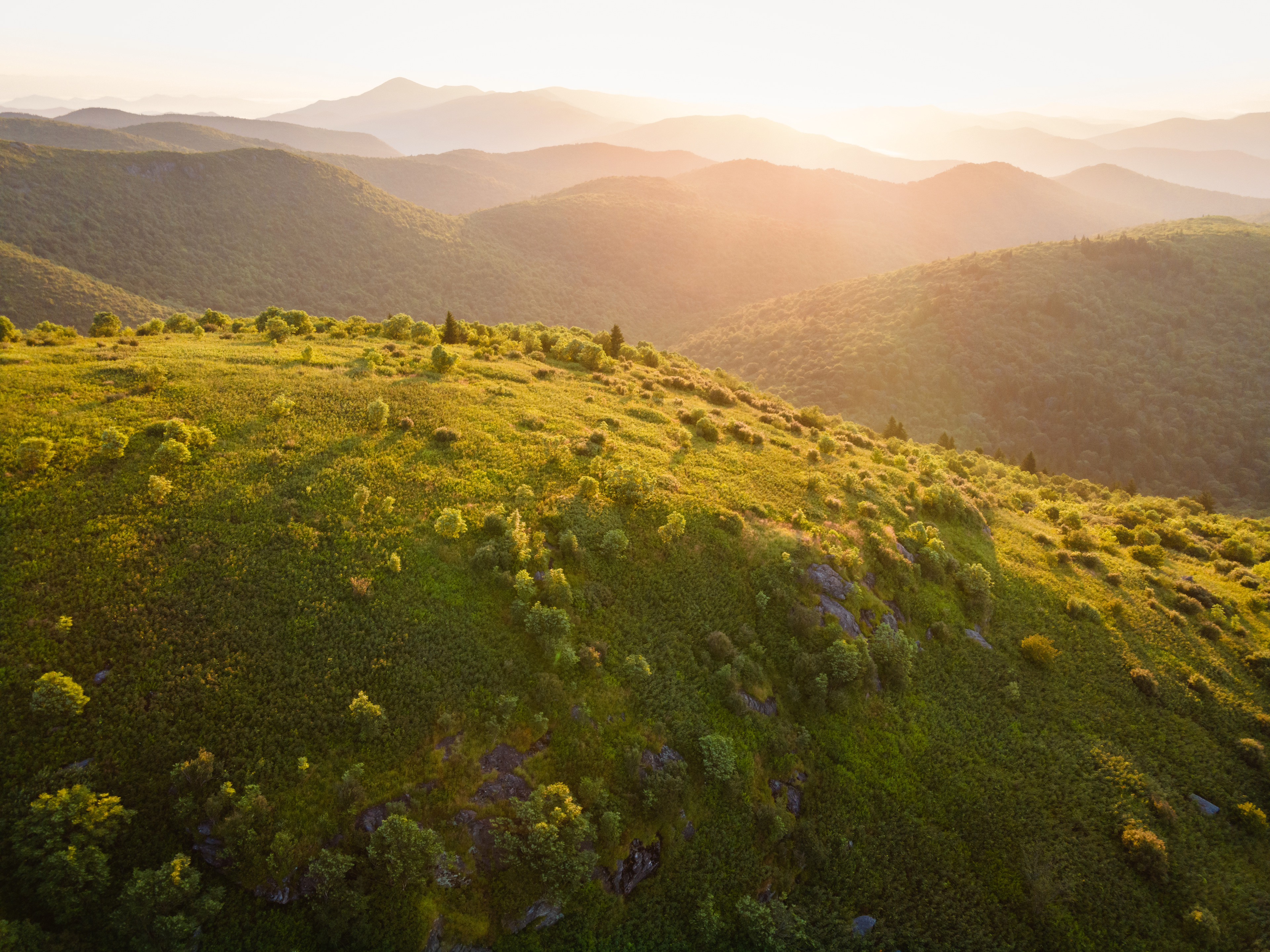 First Light over Black Balsam, Haywood Co.