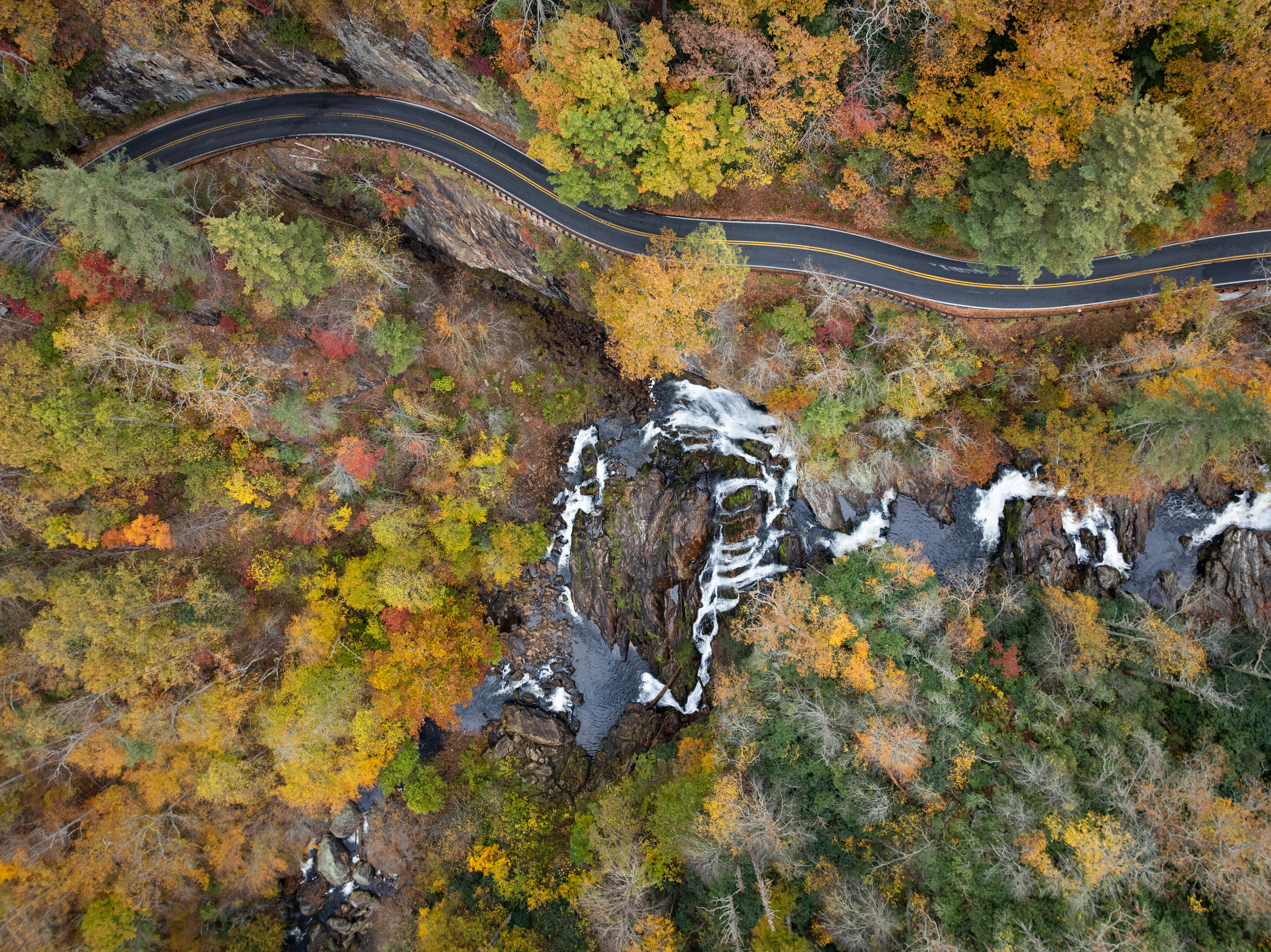 Fall Colors in the Cullasaja Gorge, Macon Co.
