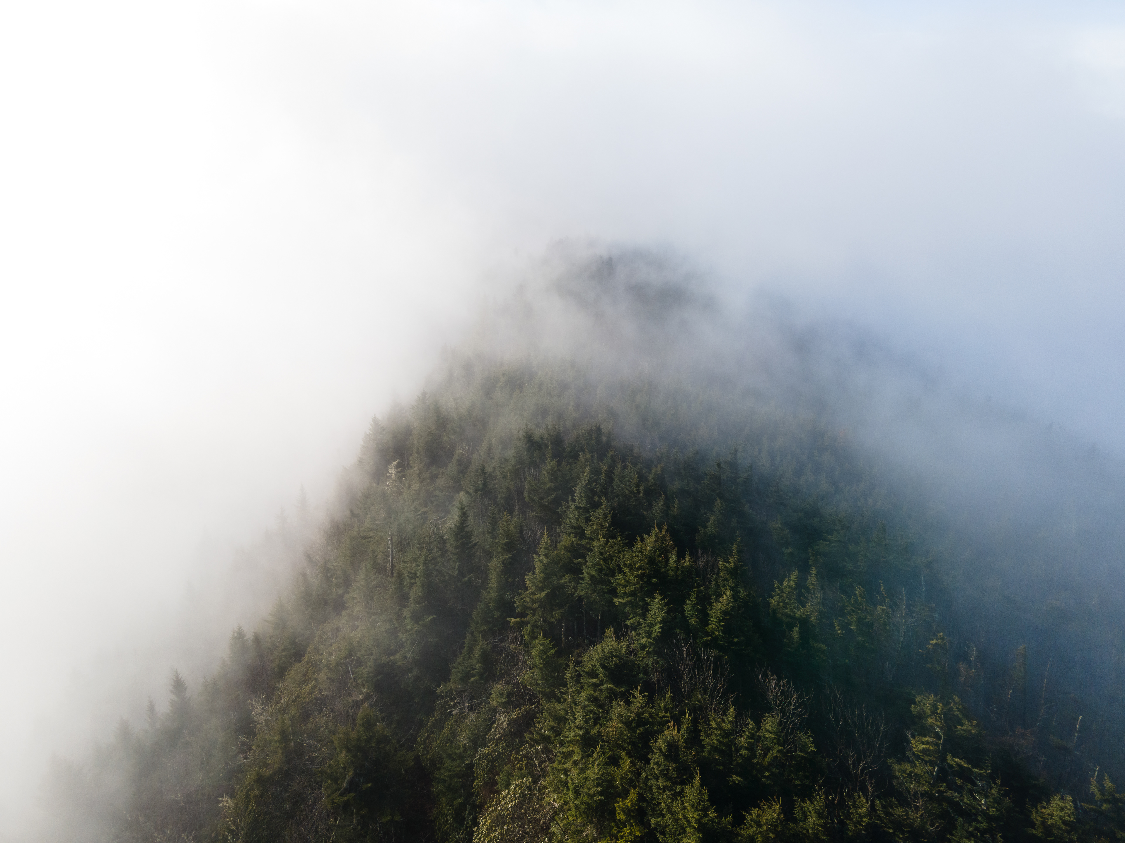 Fog over the Black Mountain Crest, Yancey Co.