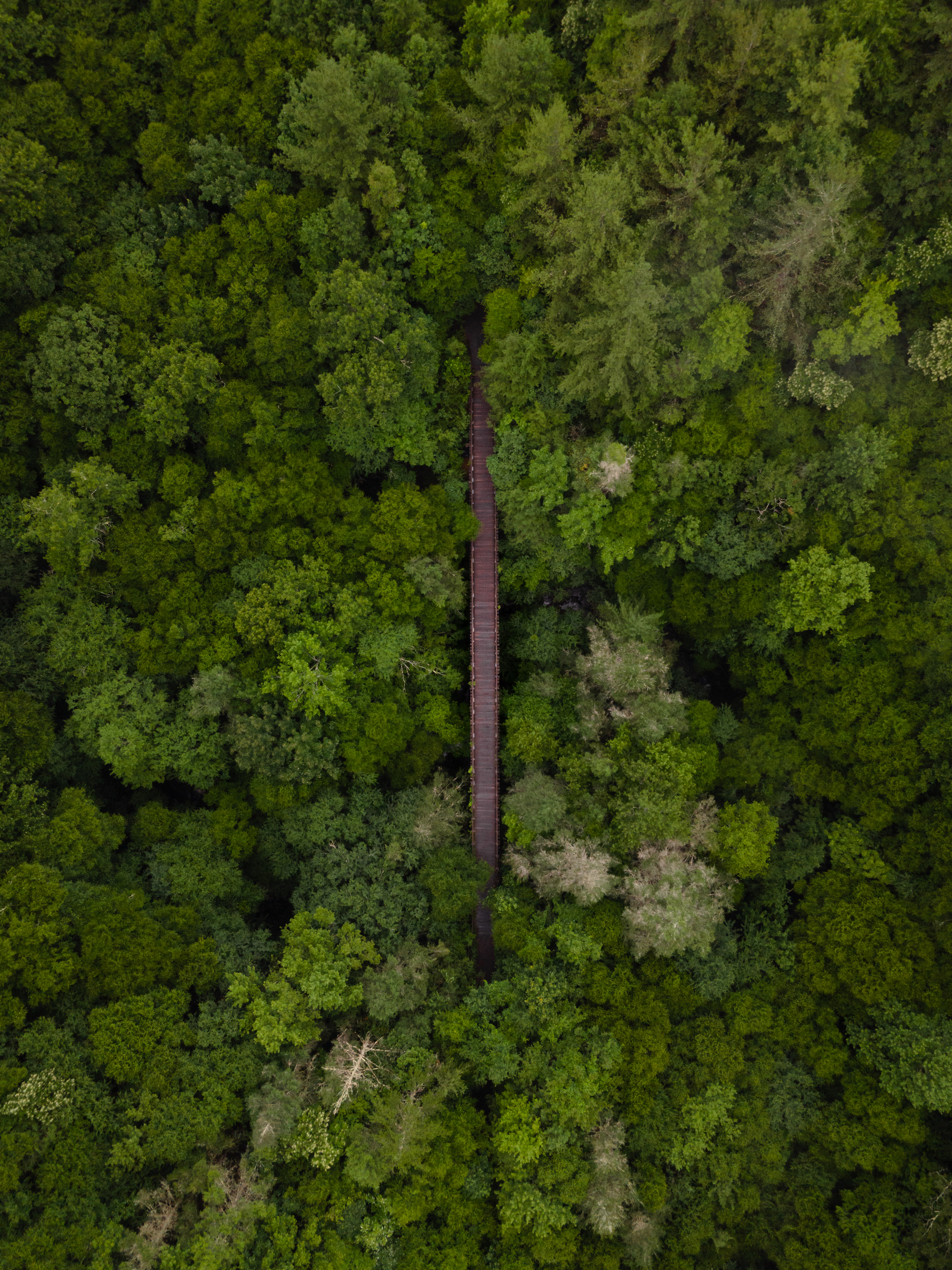 Virginia Creeper Trail, Damascus, VA