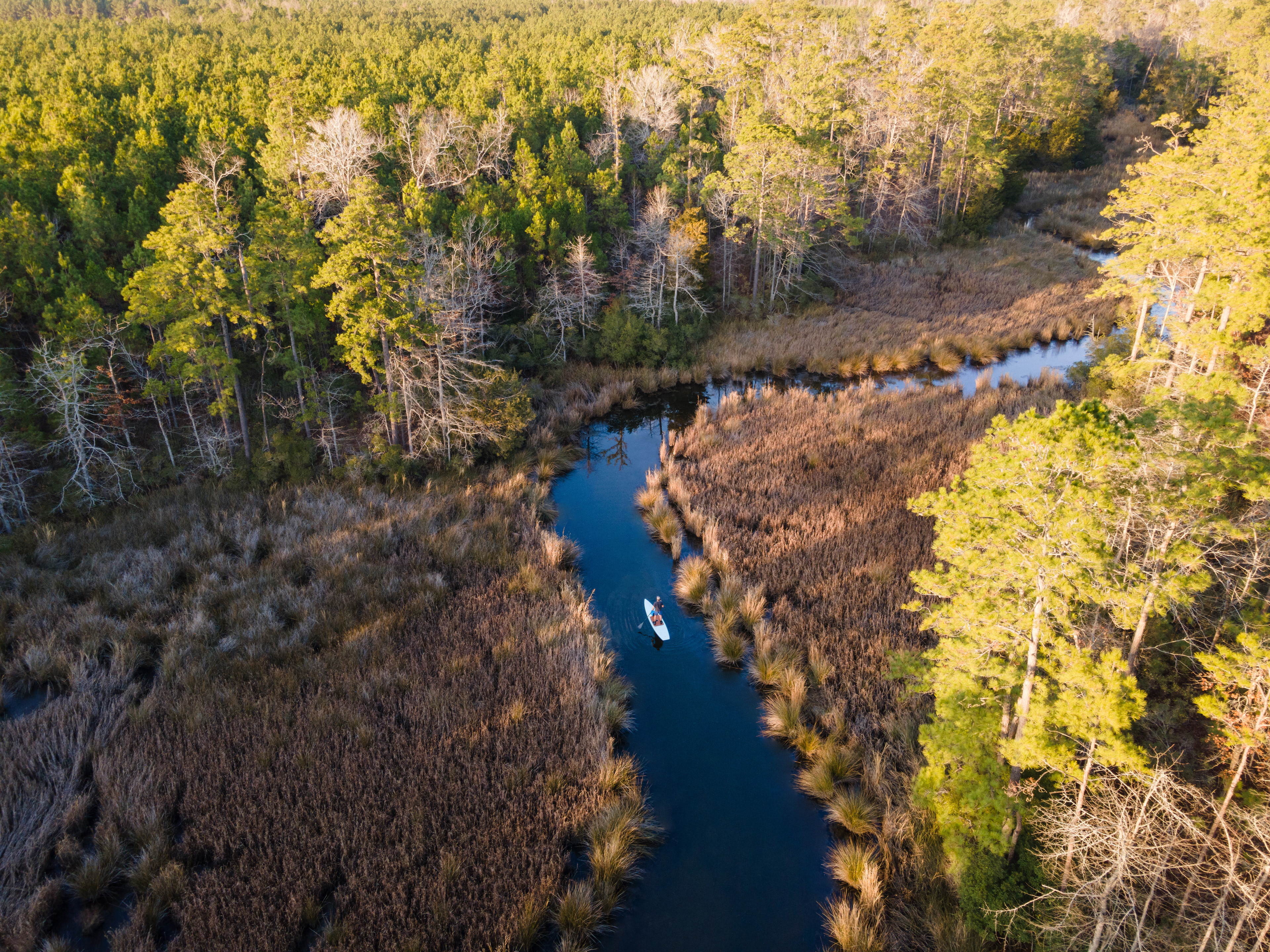 Paddling in Pamlico County