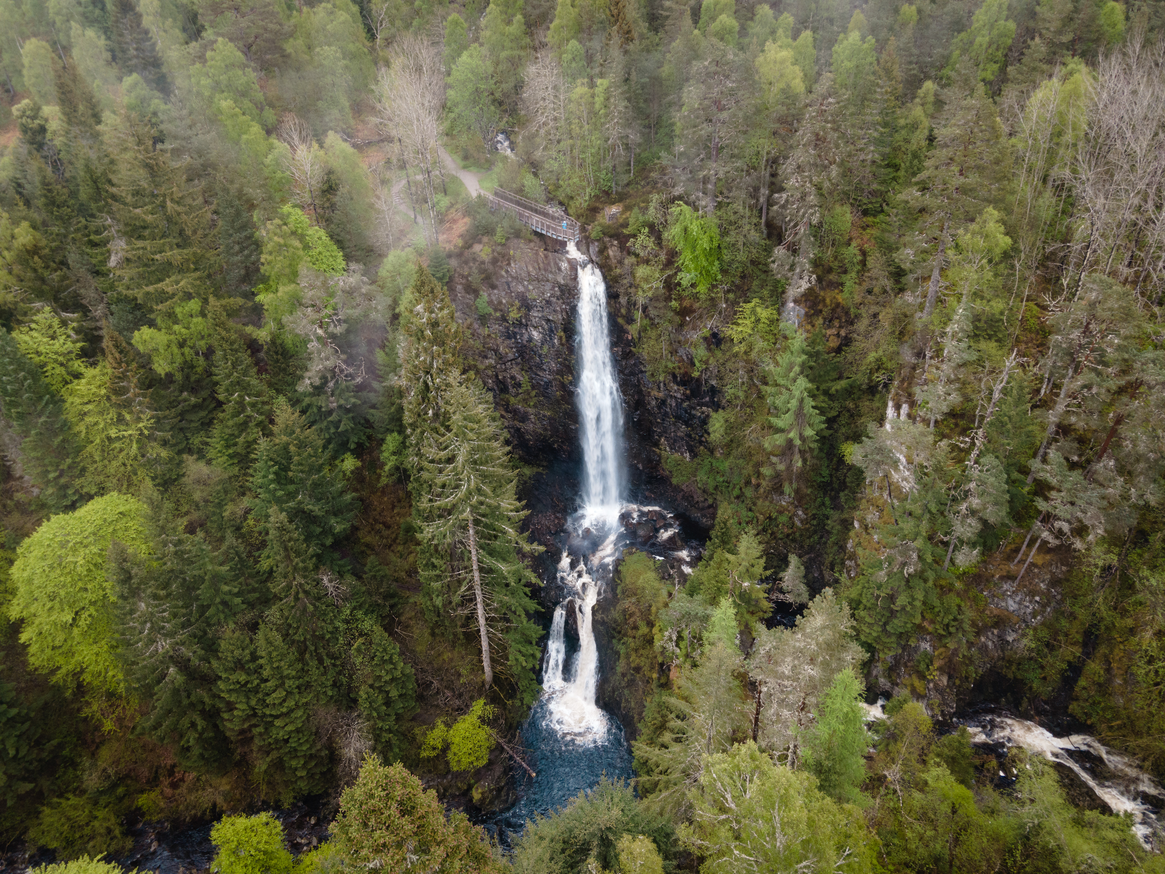 Plodda Falls, Tomich