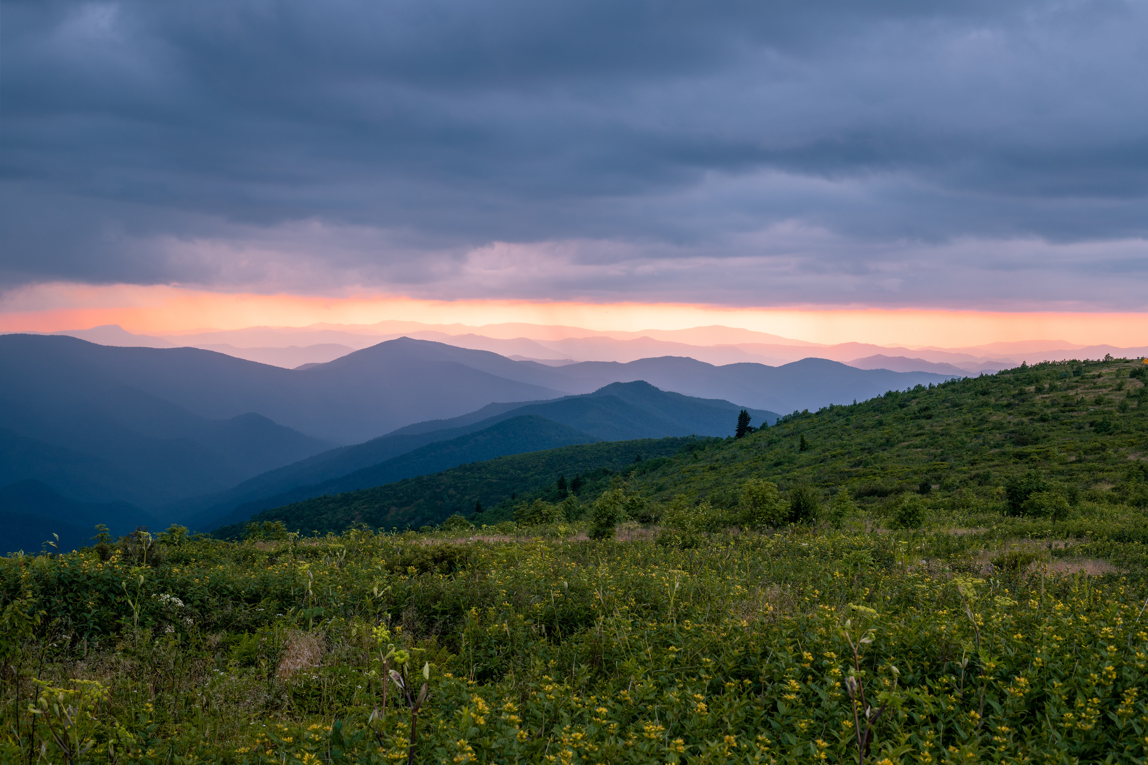 Sunset at Black Balsam Knob, Haywood Co.