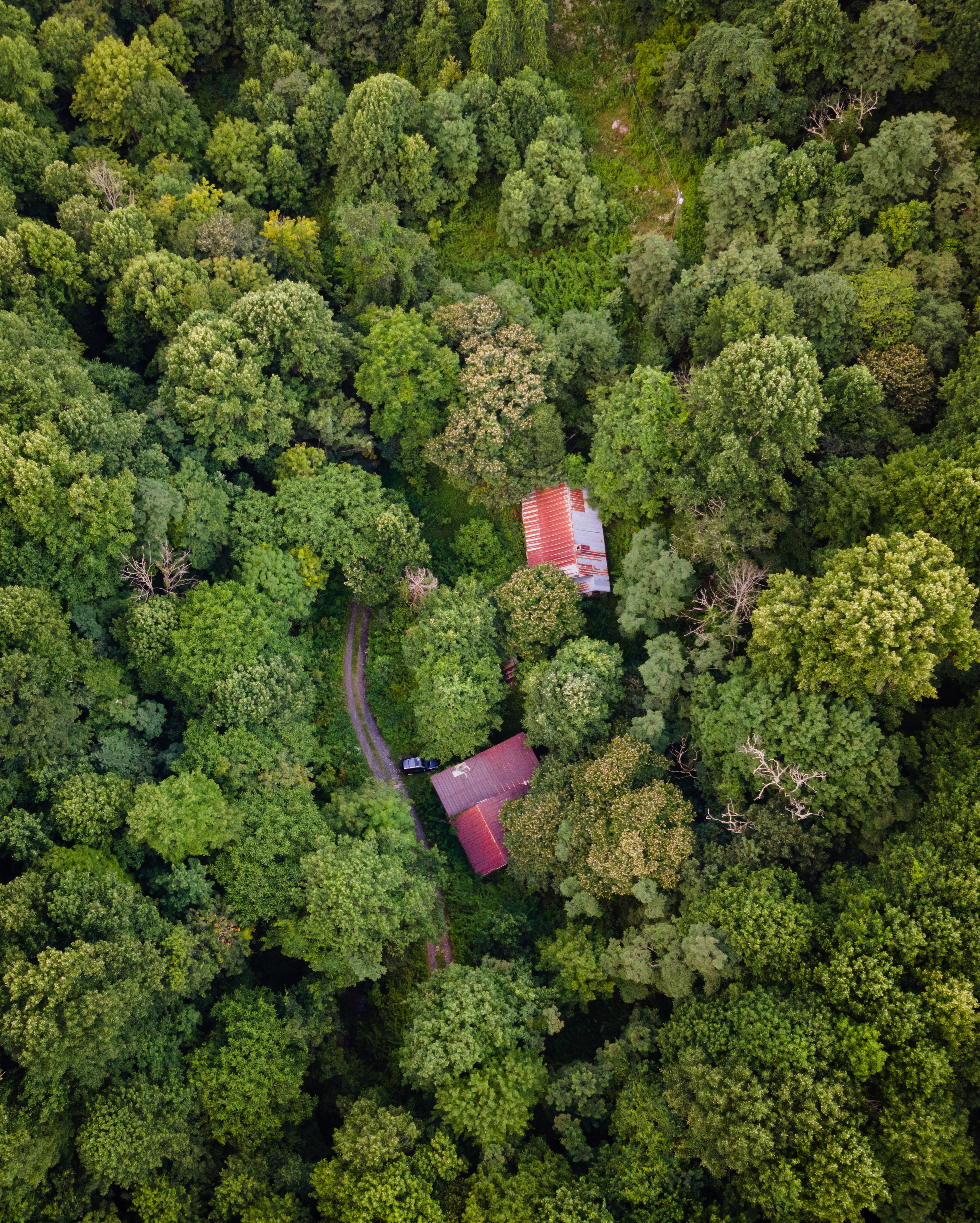 Abandoned Barns, Madison Co.