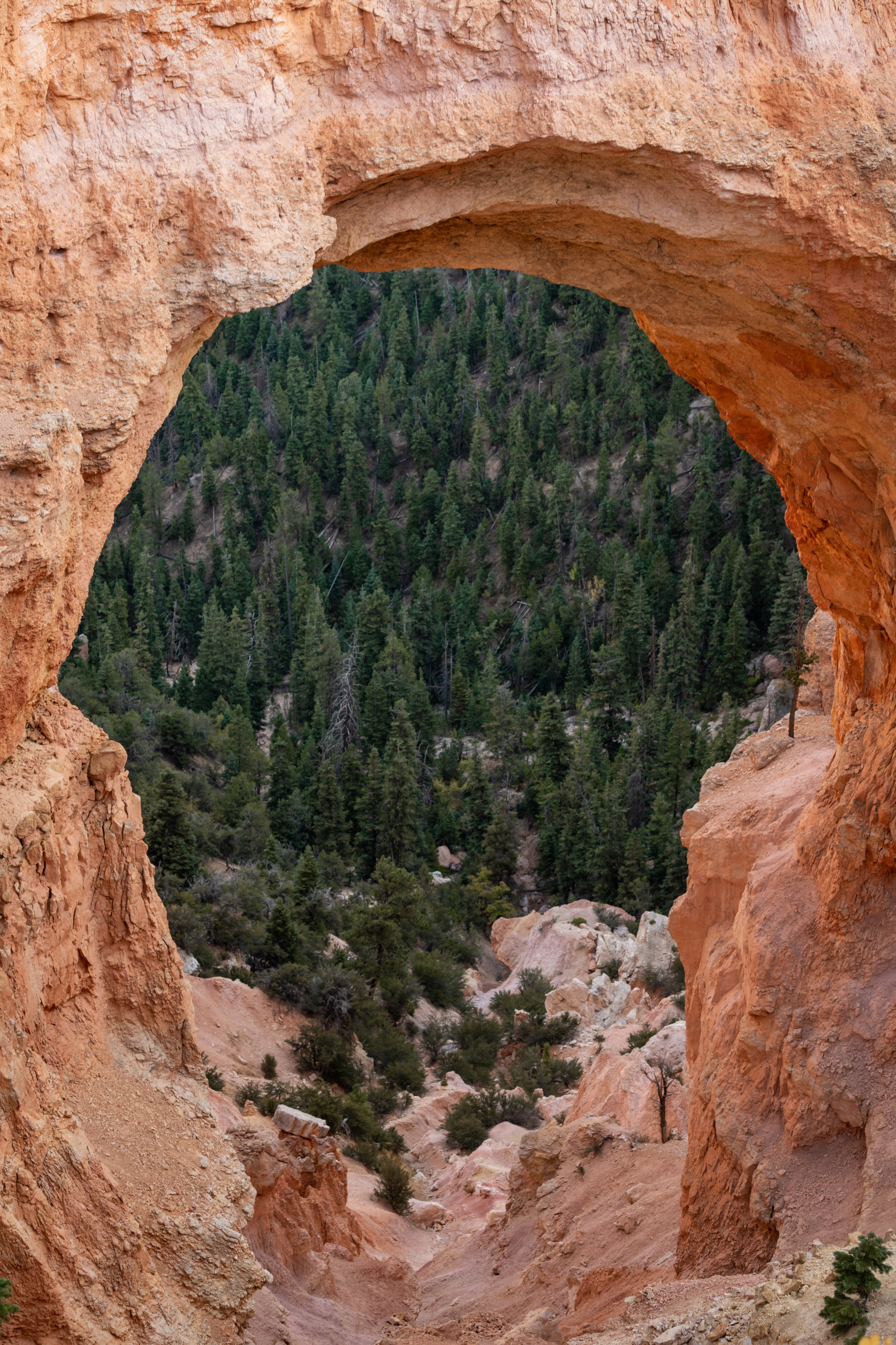 Natural Bridge in Bryce Canyon NP, UT