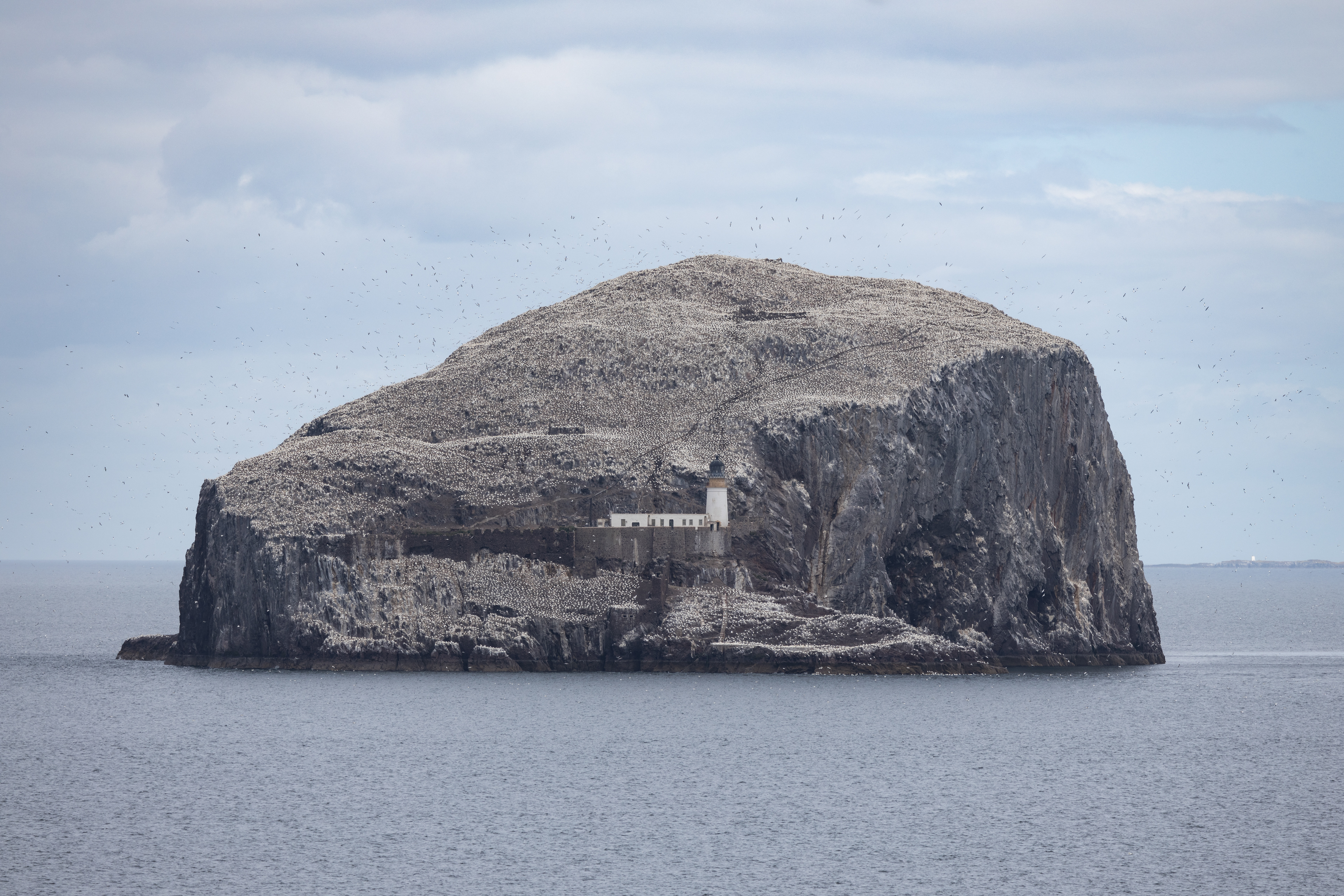 Bass Rock, North Berwick