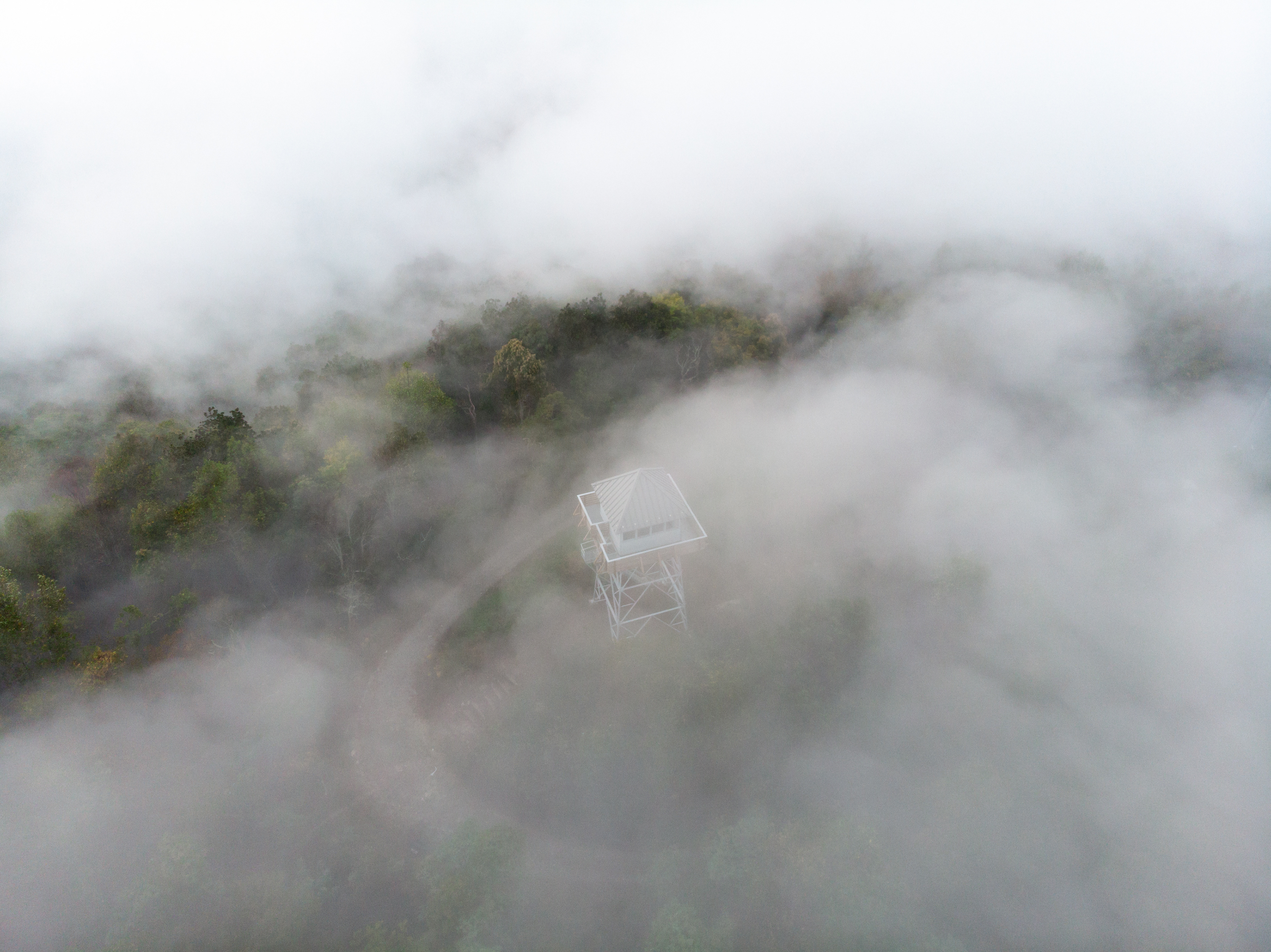 Fog over Rich Mountain, Madison Co.