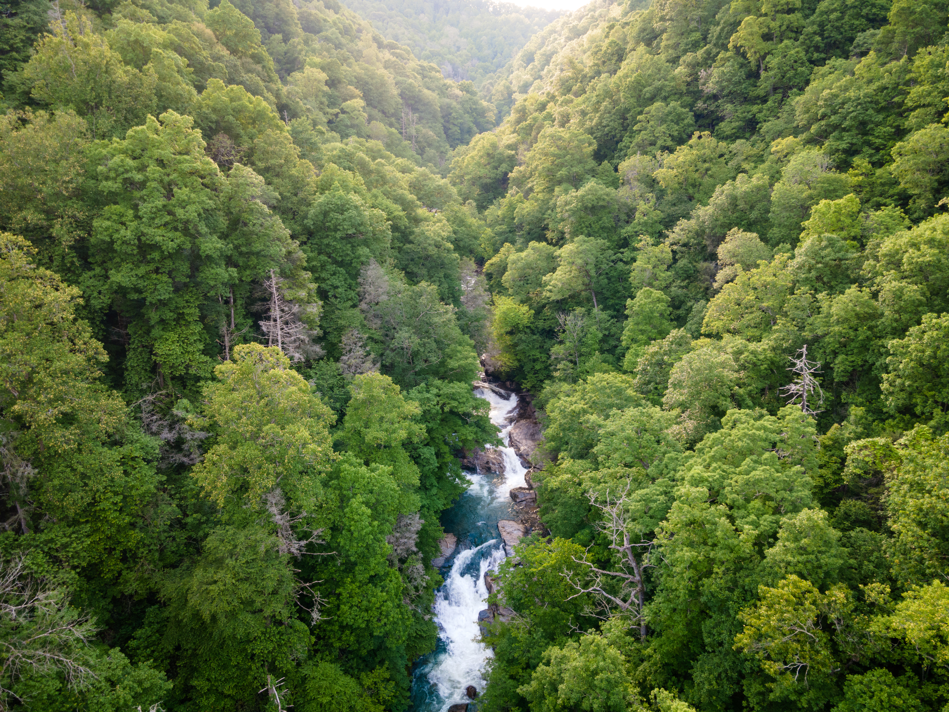 Evening Light in the Green River Gorge, Polk Co.