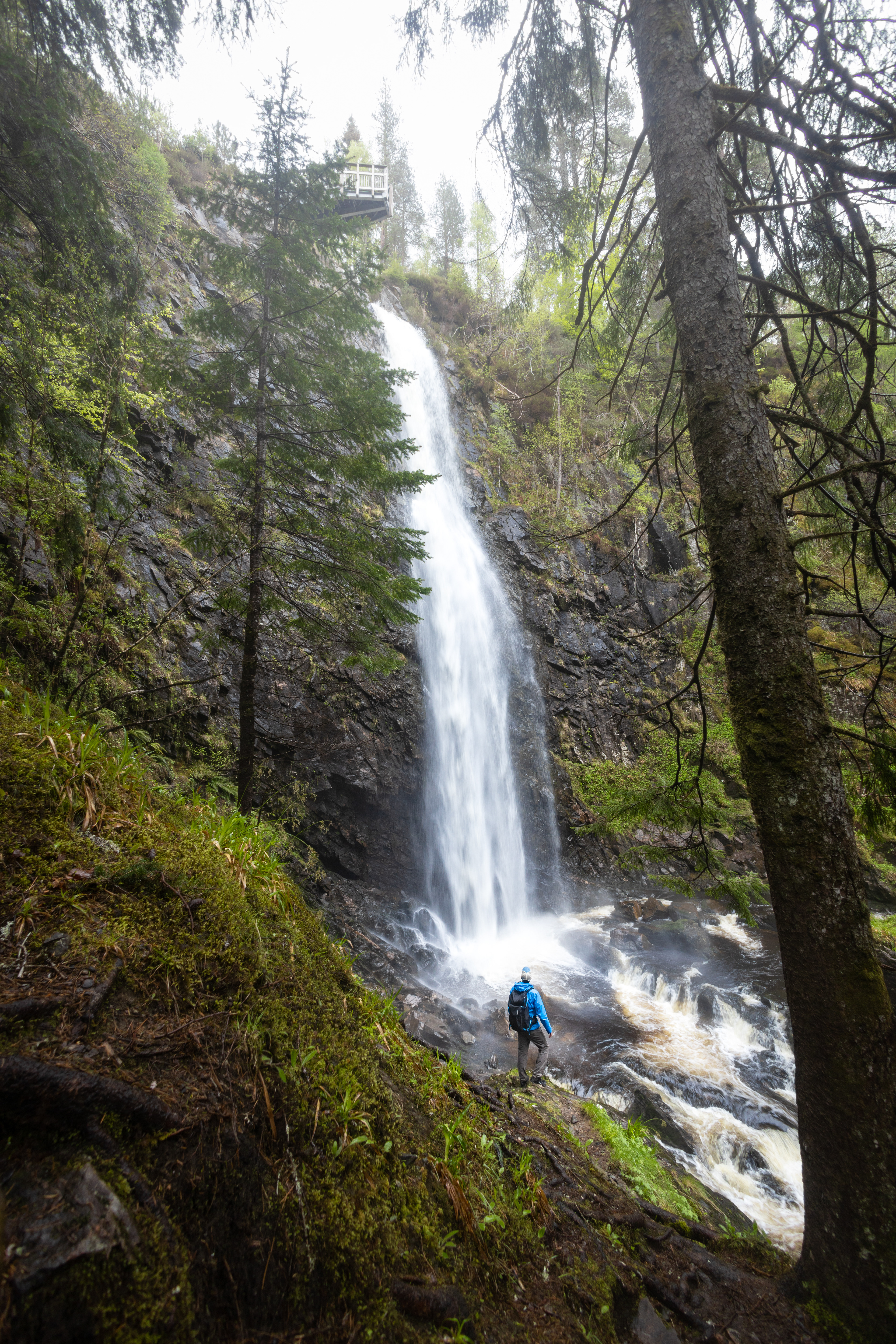 Plodda Falls, Tomich